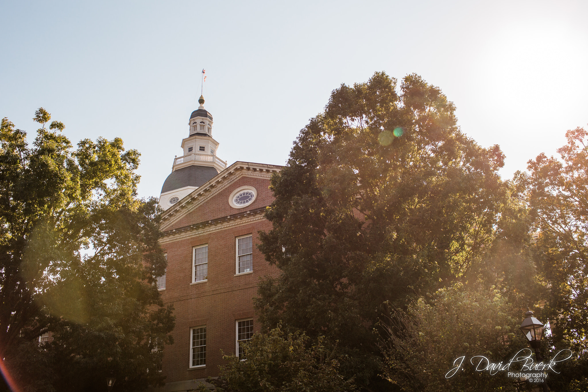 Canon EOS-1D X + Canon EF 35mm F1.4L USM sample photo. Brave enough: fall of 2016 photography