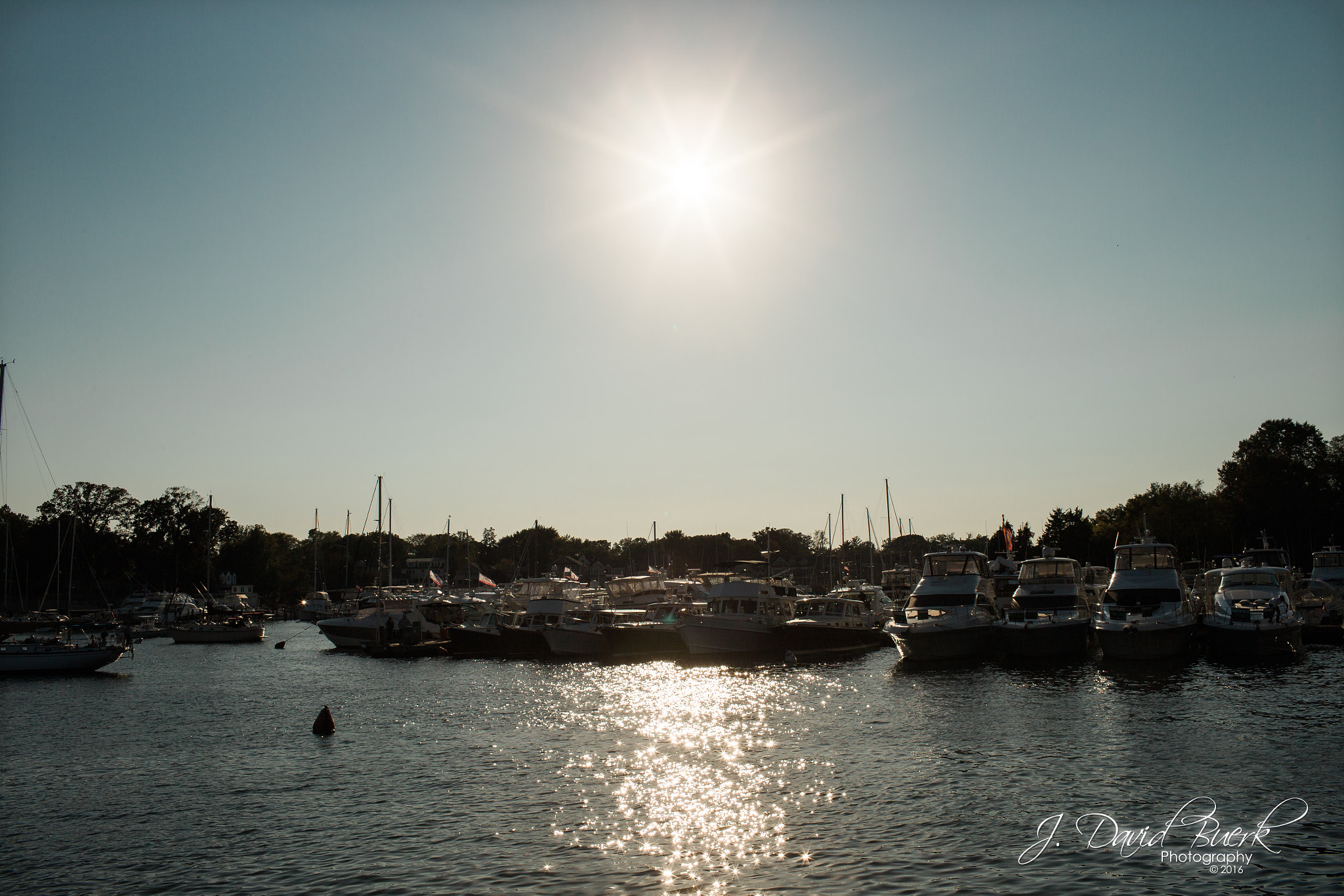 Canon EOS-1D X + Canon EF 35mm F1.4L USM sample photo. Brave enough: fall of 2016 photography