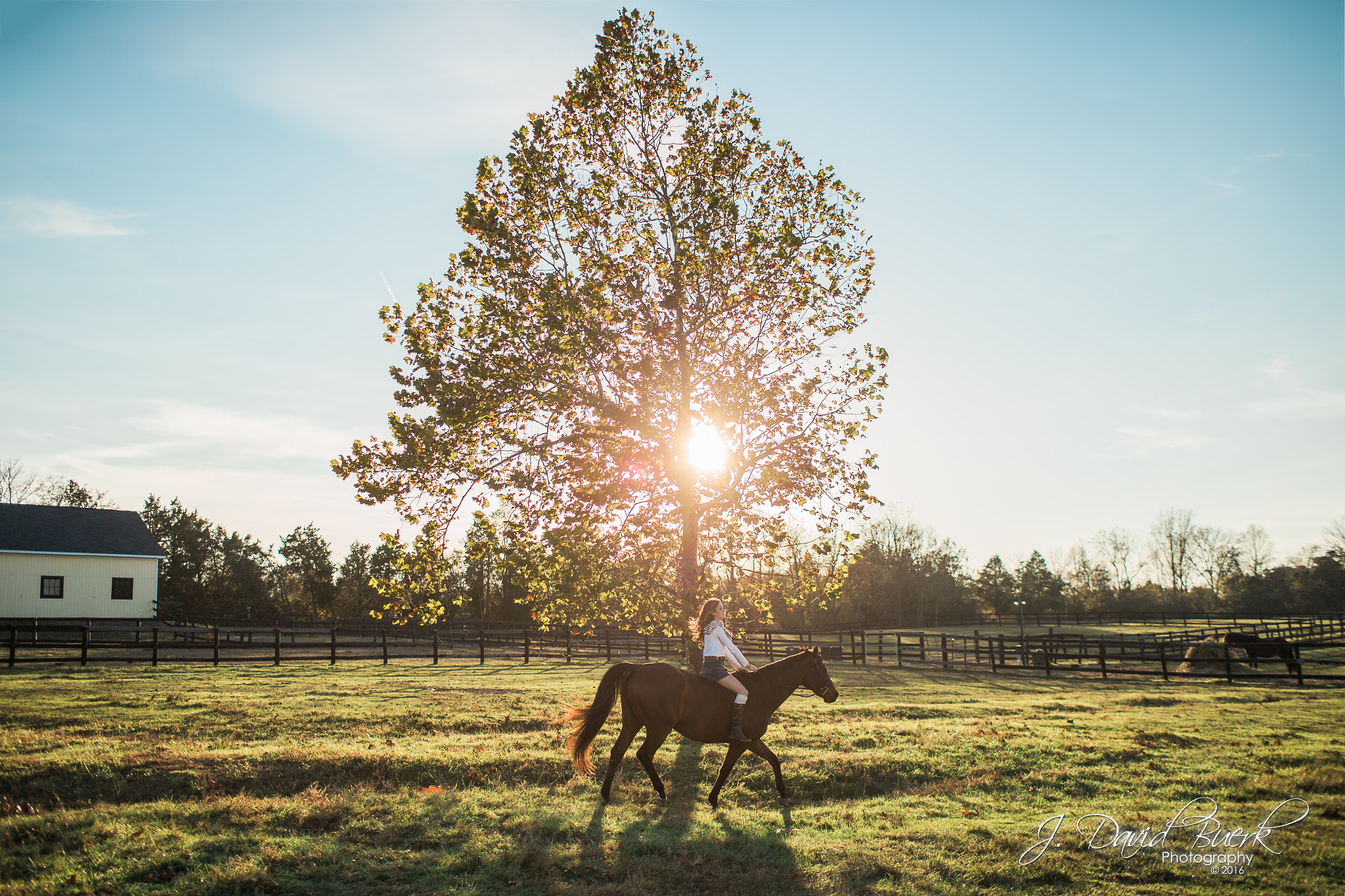 Canon EOS-1D X sample photo. Portraits photography