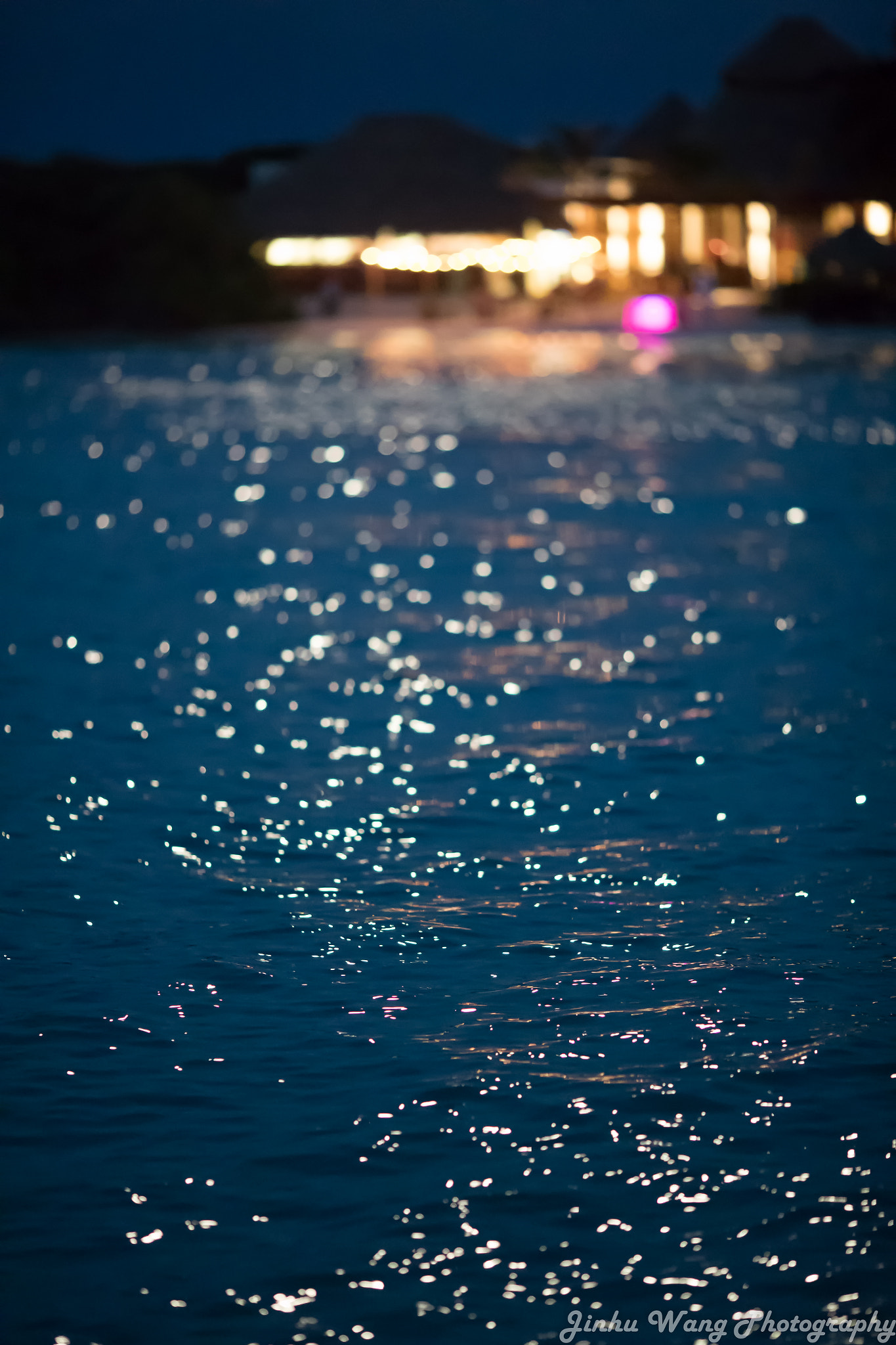 Canon EF 135mm F2L USM sample photo. Ocean under moonlight photography