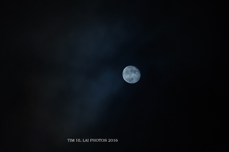 Sony SLT-A77 + Tamron Lens (255) sample photo. Blue moon photography