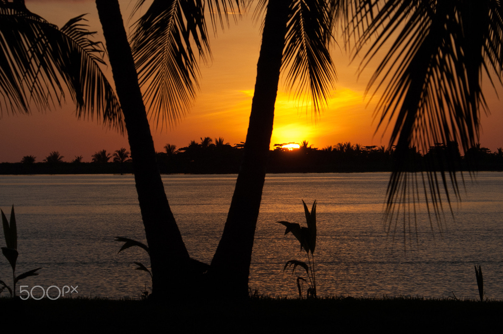 Nikon D70 + Nikon AF Nikkor 80-400mm F4.5-5.6D ED VR sample photo. Sunset with palms toward garza photography