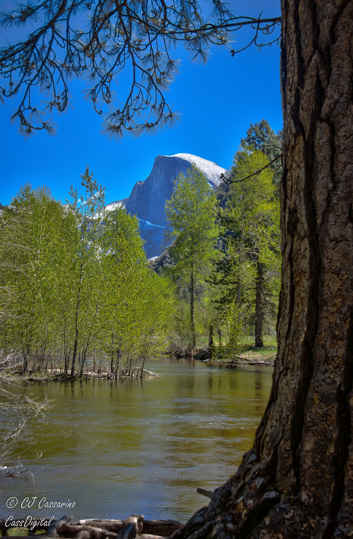 Canon EF 28-135mm F3.5-5.6 IS USM sample photo. Half dome through the trees photography