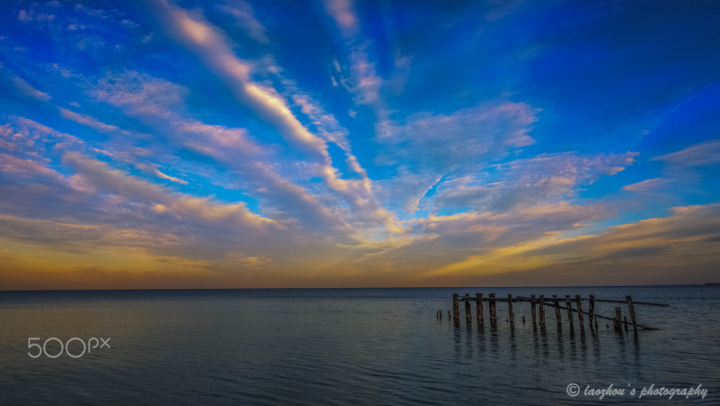 Nikon D3X sample photo. 50 point photography