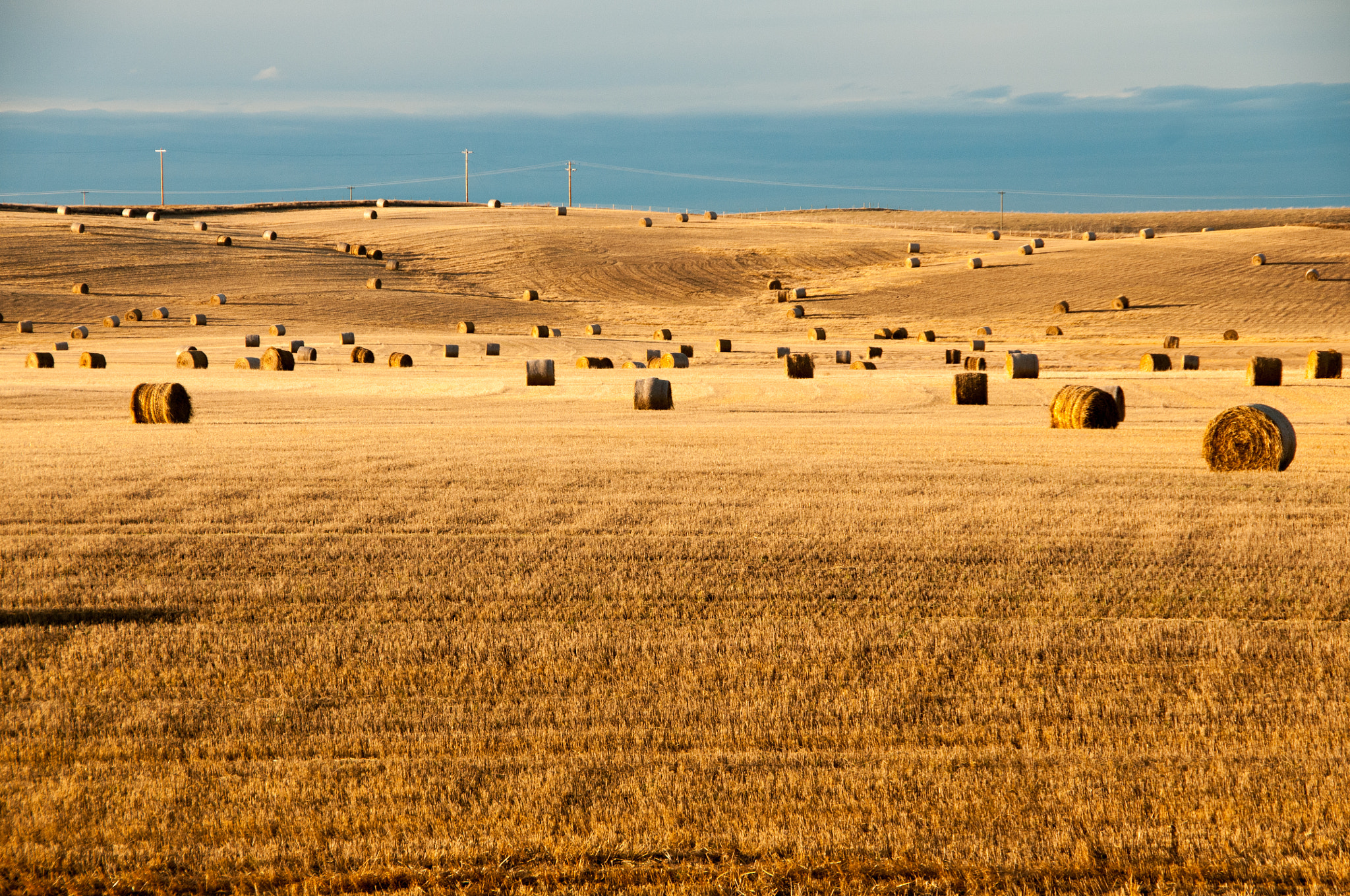 Nikon D300 sample photo. Harvest photography