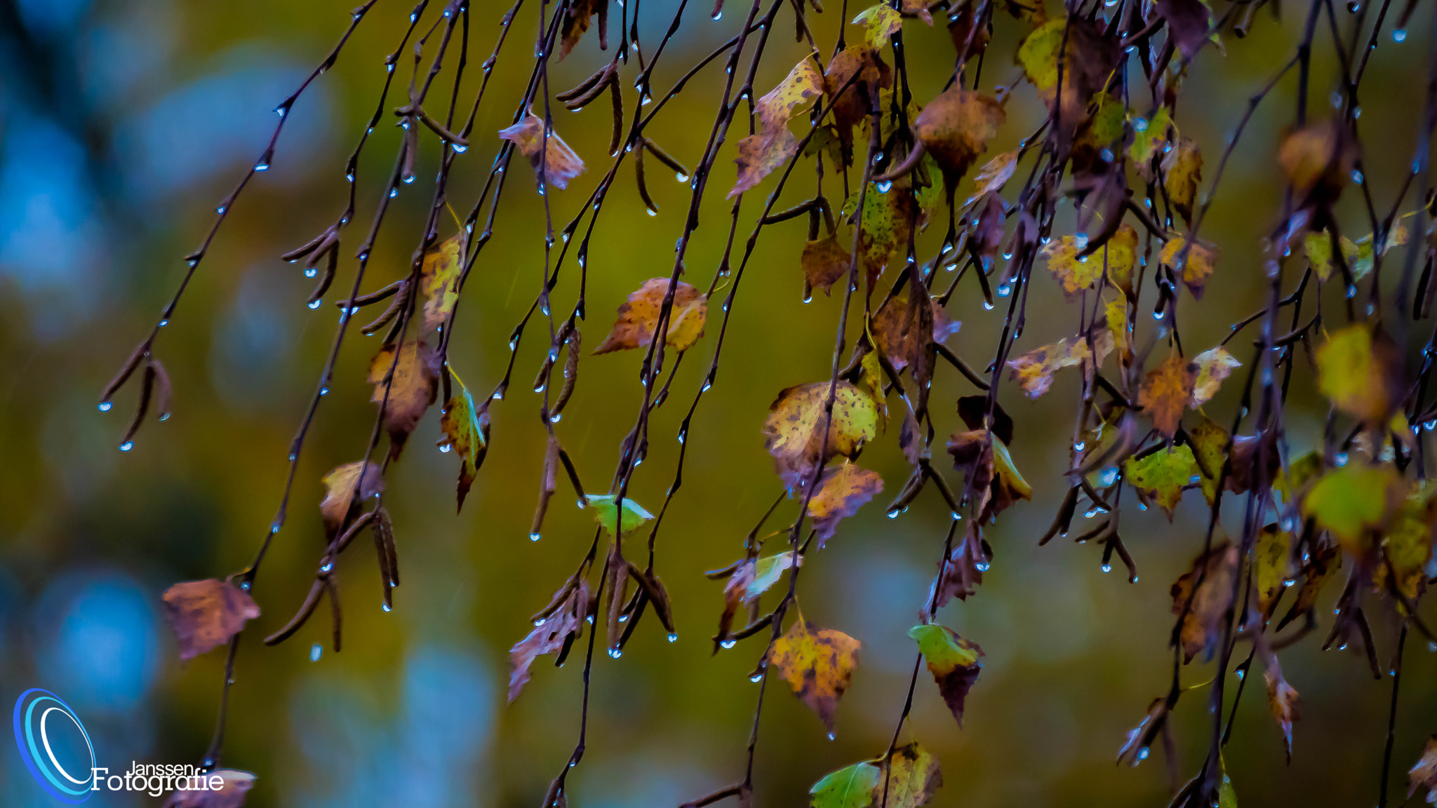 Tamron SP 70-300mm F4-5.6 Di USD sample photo. Herbstzeit photography