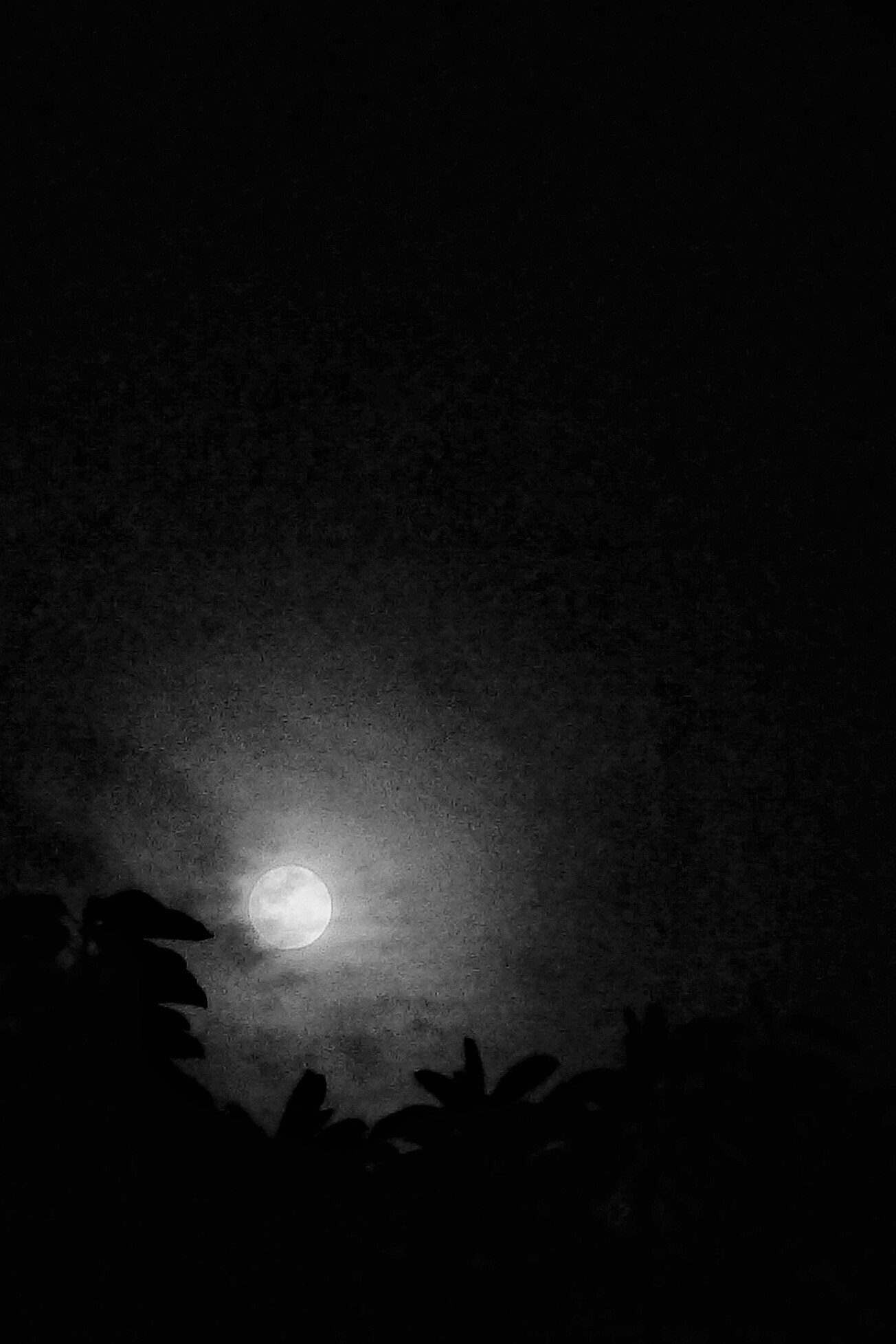 Leica D-LUX 5 sample photo. Only thing to do is jump over the moon photography