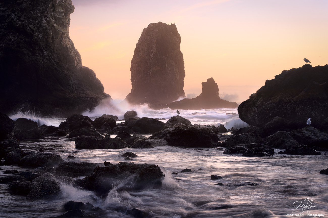 Nikon D800 sample photo. Fat stacks photography