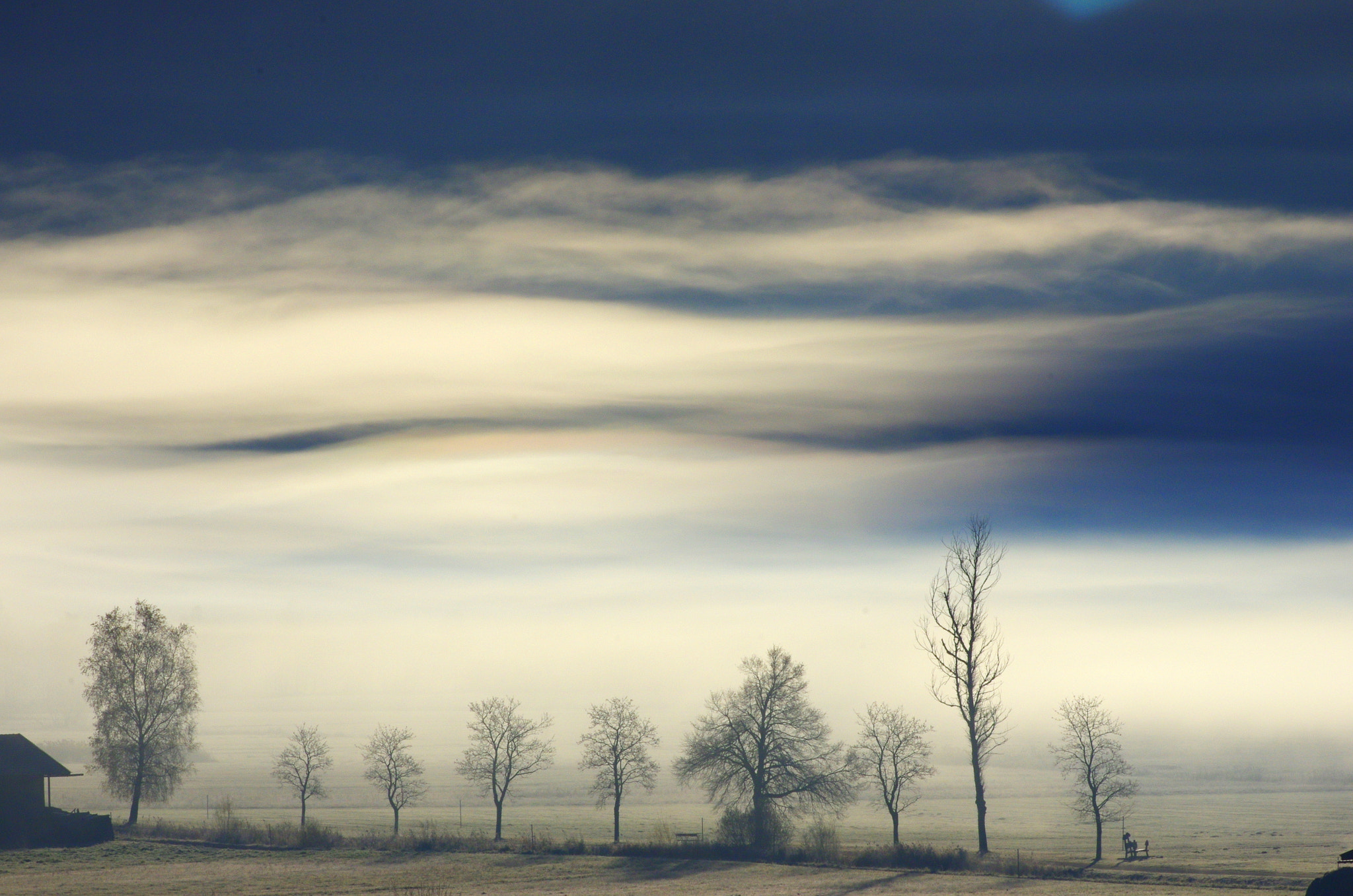 Pentax K-5 sample photo. Magic of morning fog photography