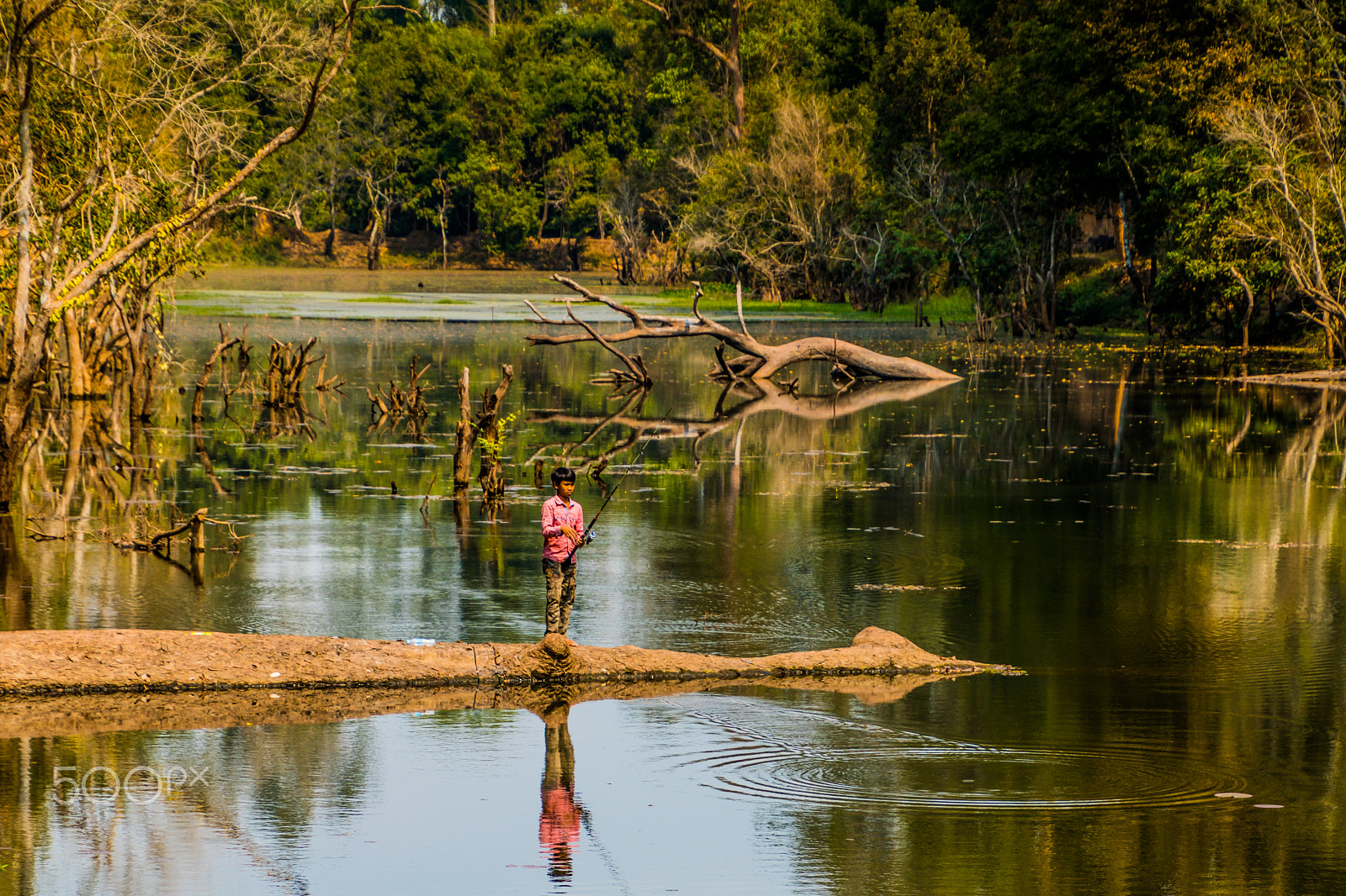 Canon EOS 750D (EOS Rebel T6i / EOS Kiss X8i) sample photo. Fishing photography