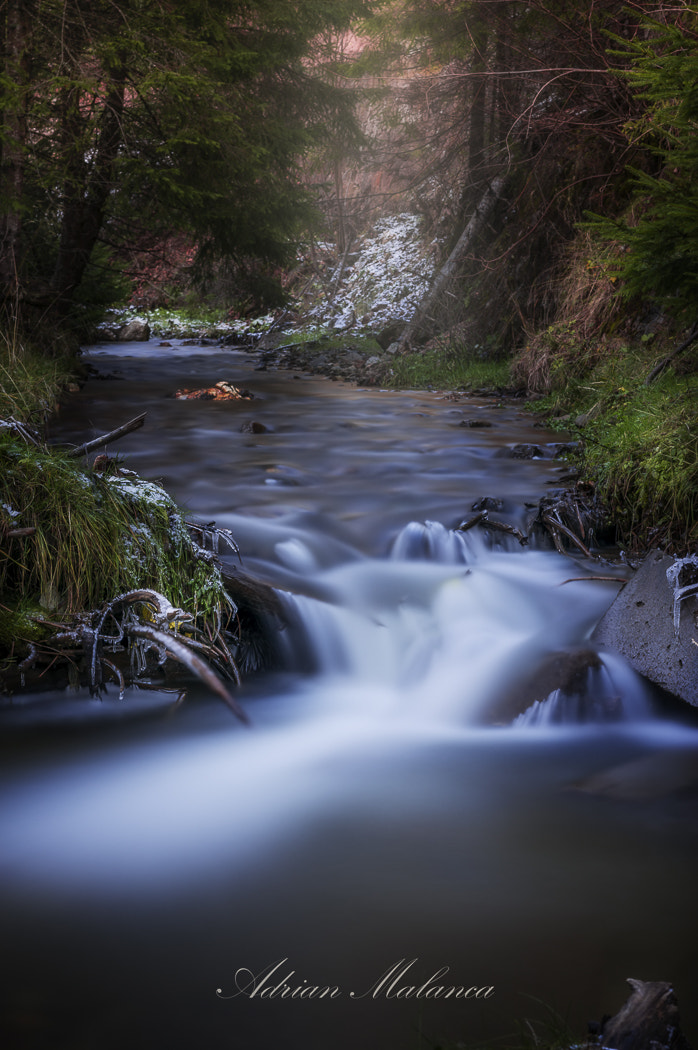 Sony Alpha NEX-6 + 55mm F1.8 ZA sample photo. A place like heaven photography