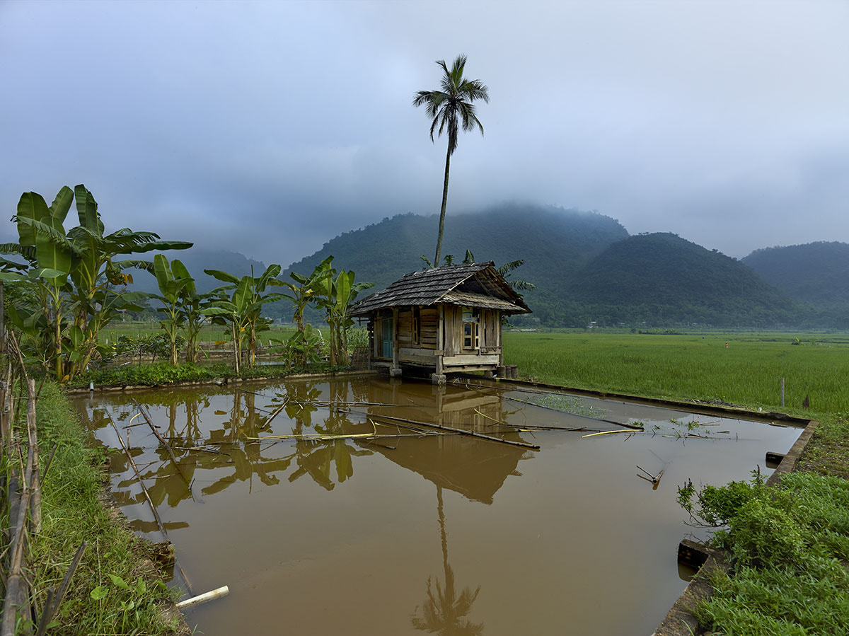 Phase One IQ260 sample photo. Small farm house with a palm in mai chau vietnam photography