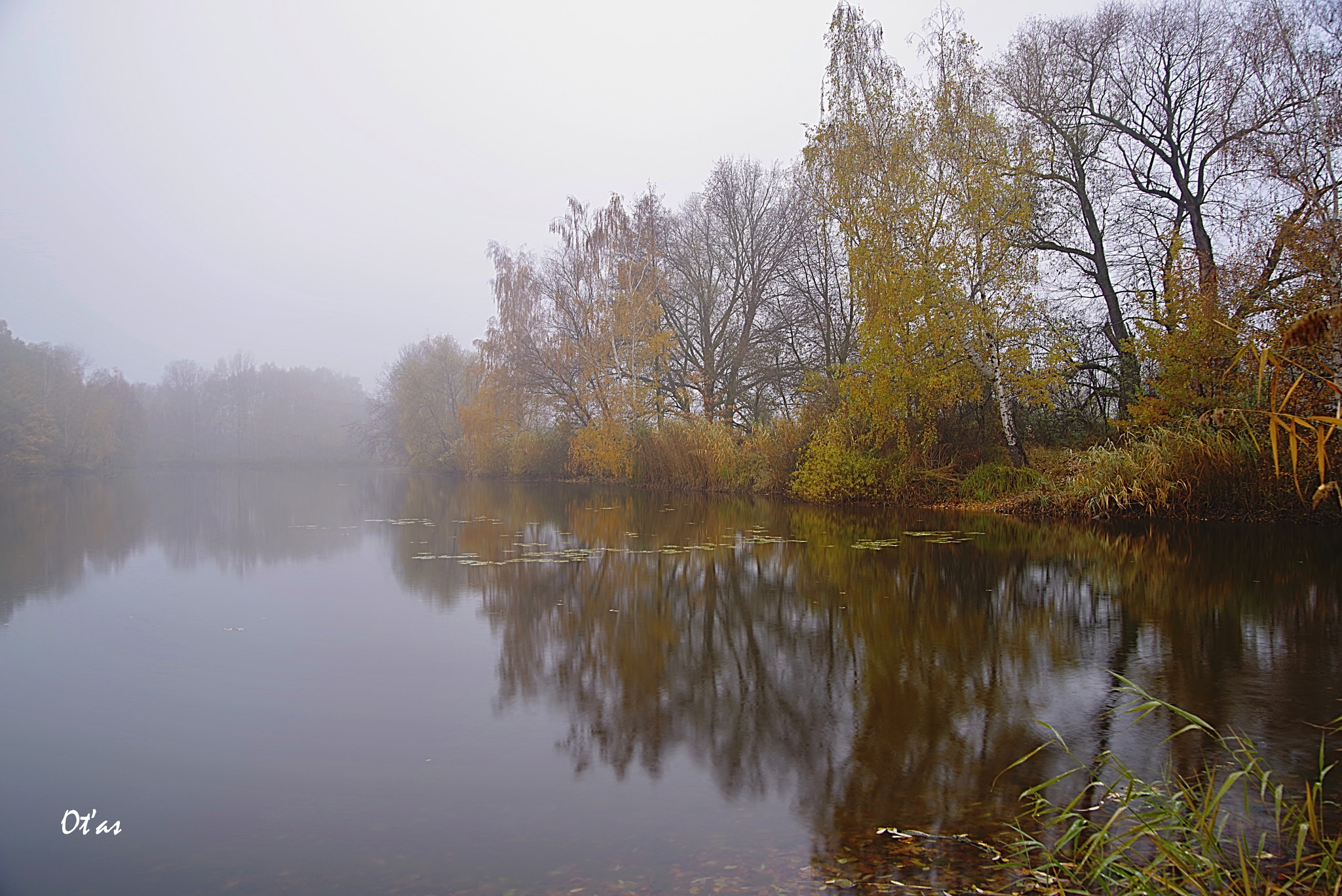 Pentax K-1 + Tamron AF 28-75mm F2.8 XR Di LD Aspherical (IF) sample photo. Pond borovinka photography