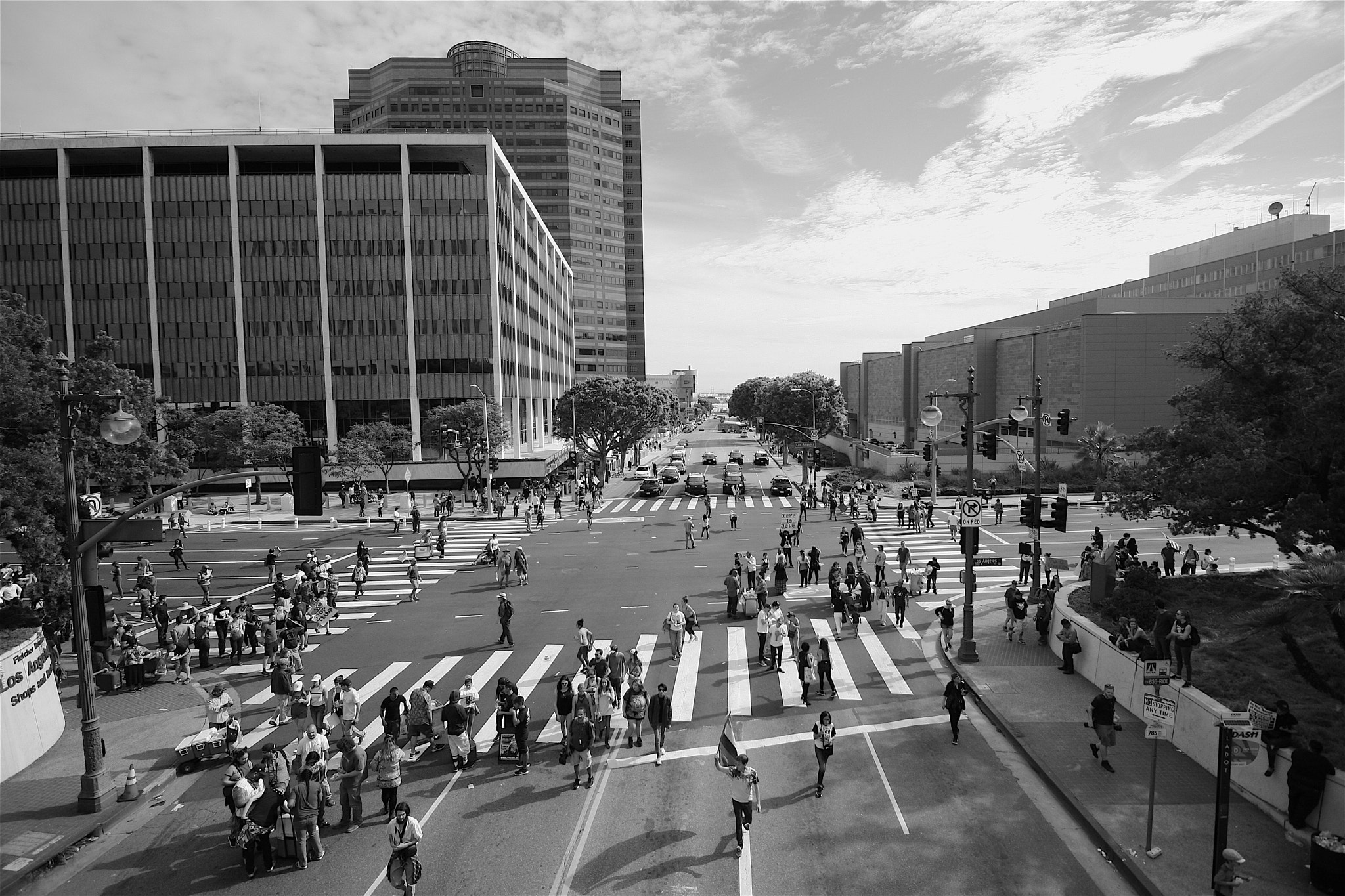 Canon EOS 40D sample photo. From the bridge photography