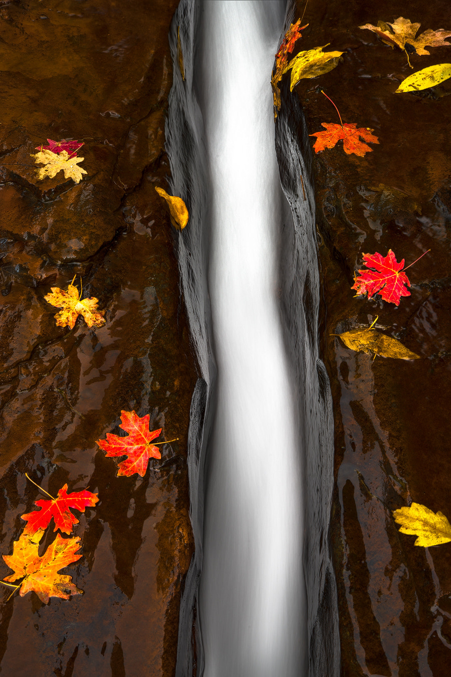 Sony a7R II sample photo. Subway fall photography