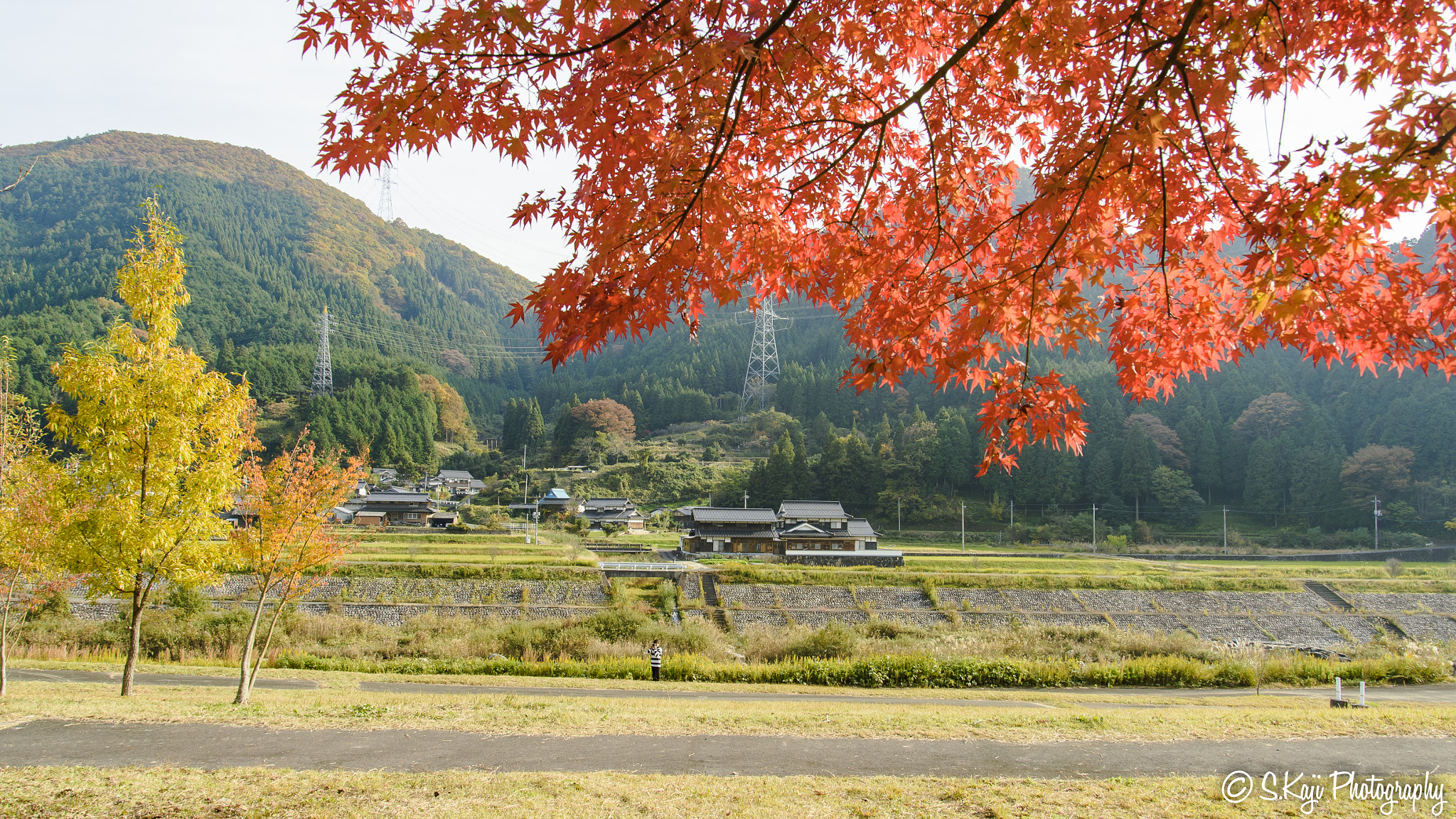 Nikon Df sample photo. Autumn leaves on the river side photography