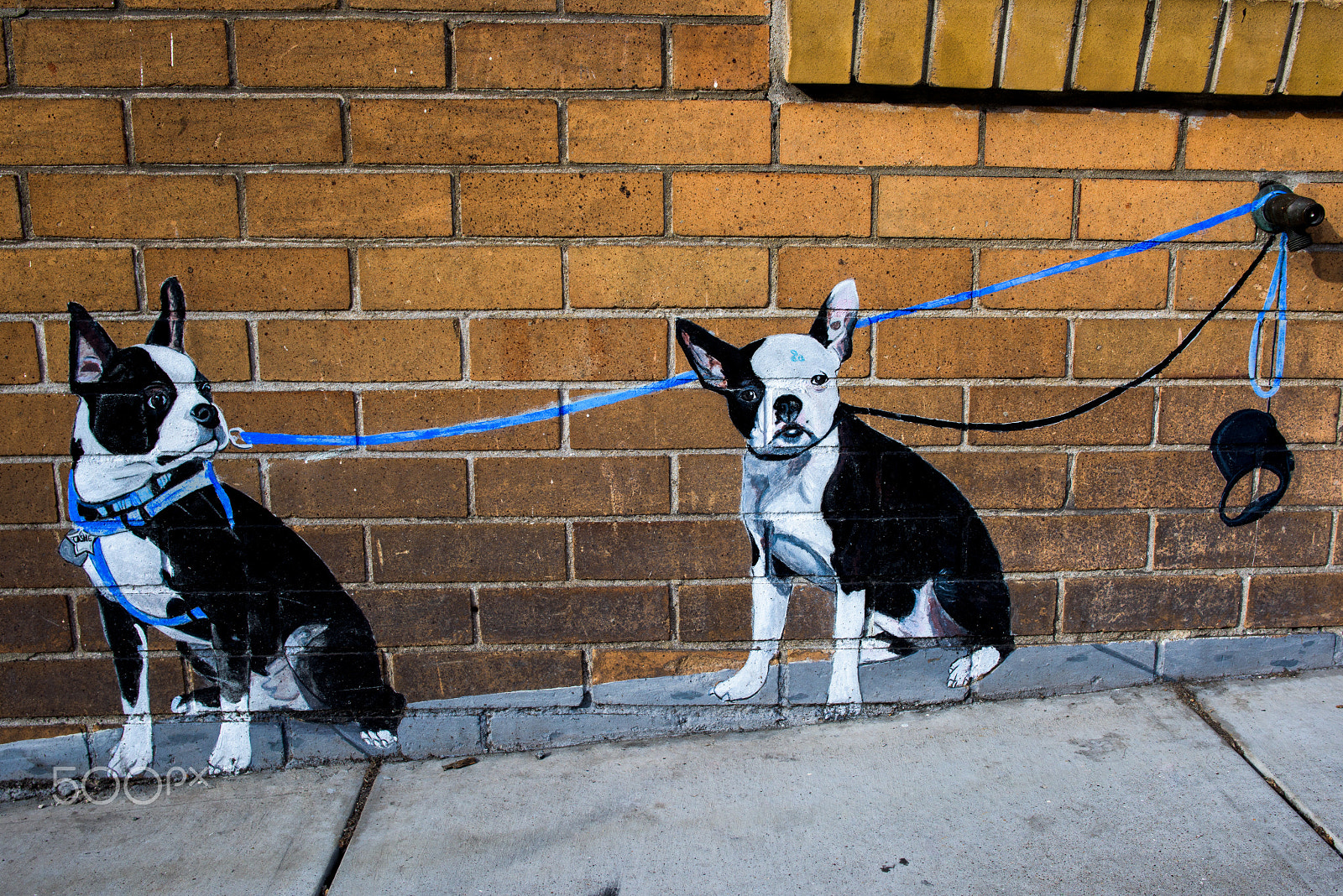 Nikon D810 + Nikon AF-S Nikkor 28mm F1.8G sample photo. San francisco street art photography