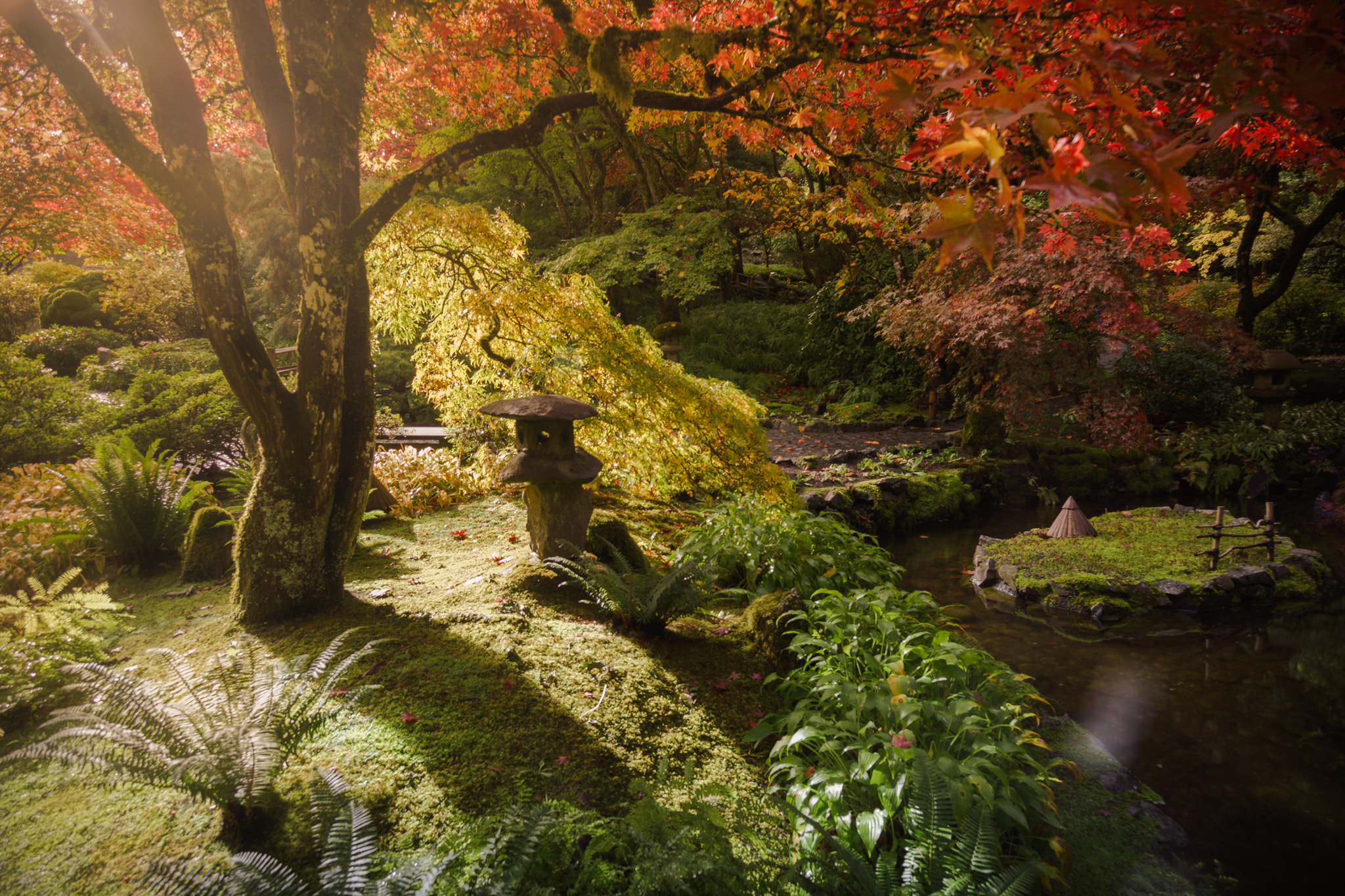 Sony Alpha NEX-7 sample photo. Japanese garden oasis photography
