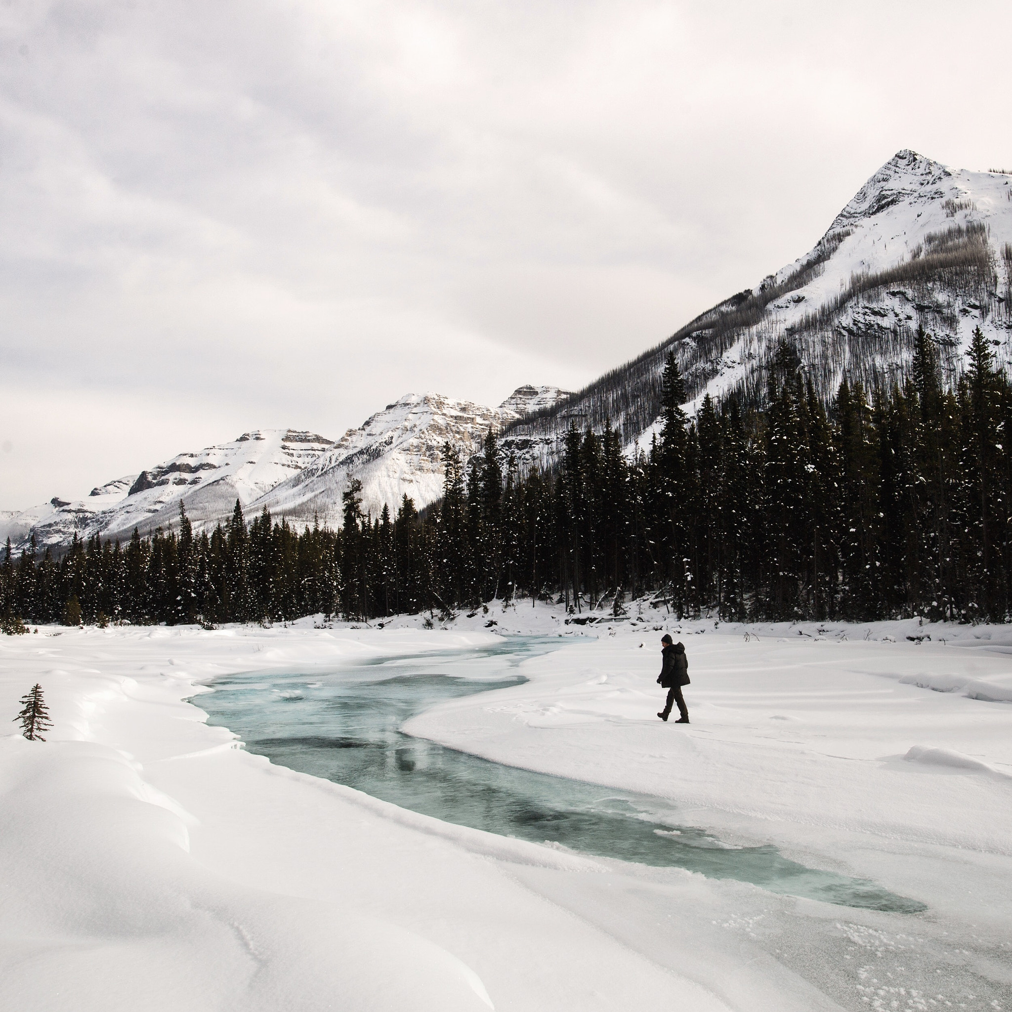 Nikon D4 + Nikon AF-S Nikkor 20mm F1.8G ED sample photo. Walking on frozen rivers. kootenay river. bc. i'm  ... photography