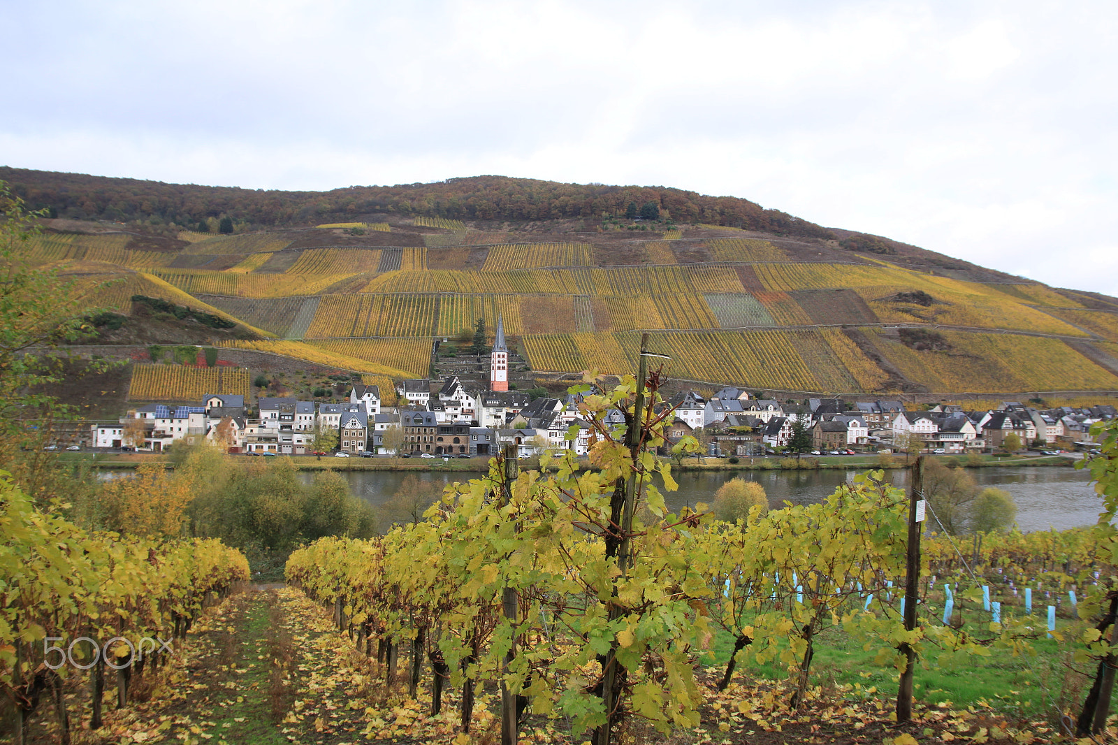 Sigma 17-70mm F2.8-4 DC Macro OS HSM sample photo. Zell an der mosel photography