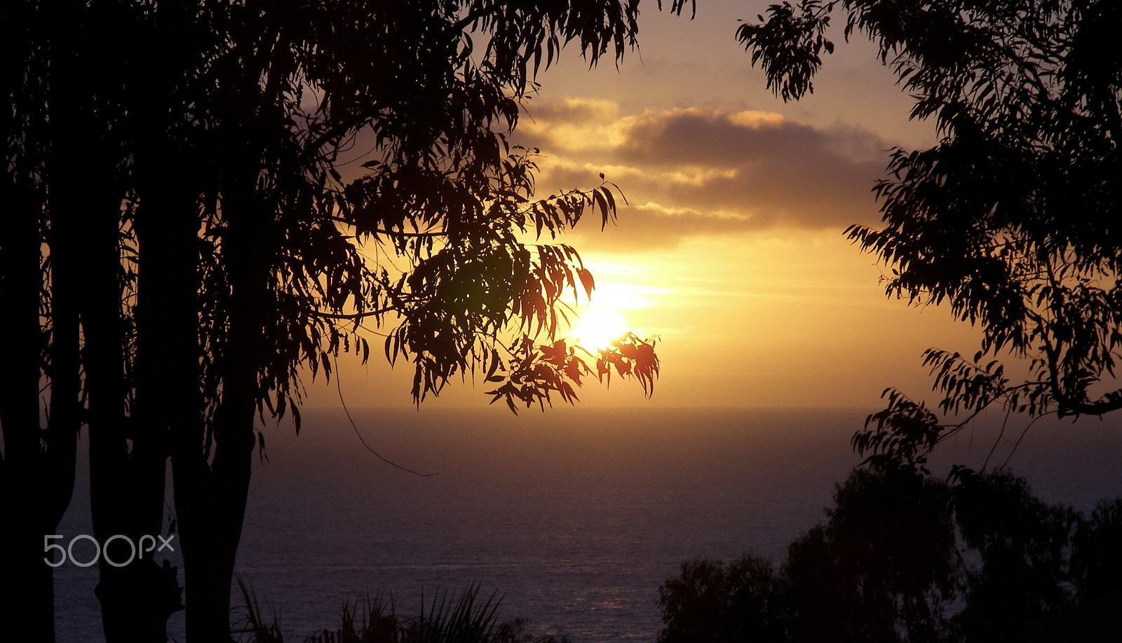 Kodak P880 ZOOM DIGITAL CAMERA sample photo. Classy sunset photography