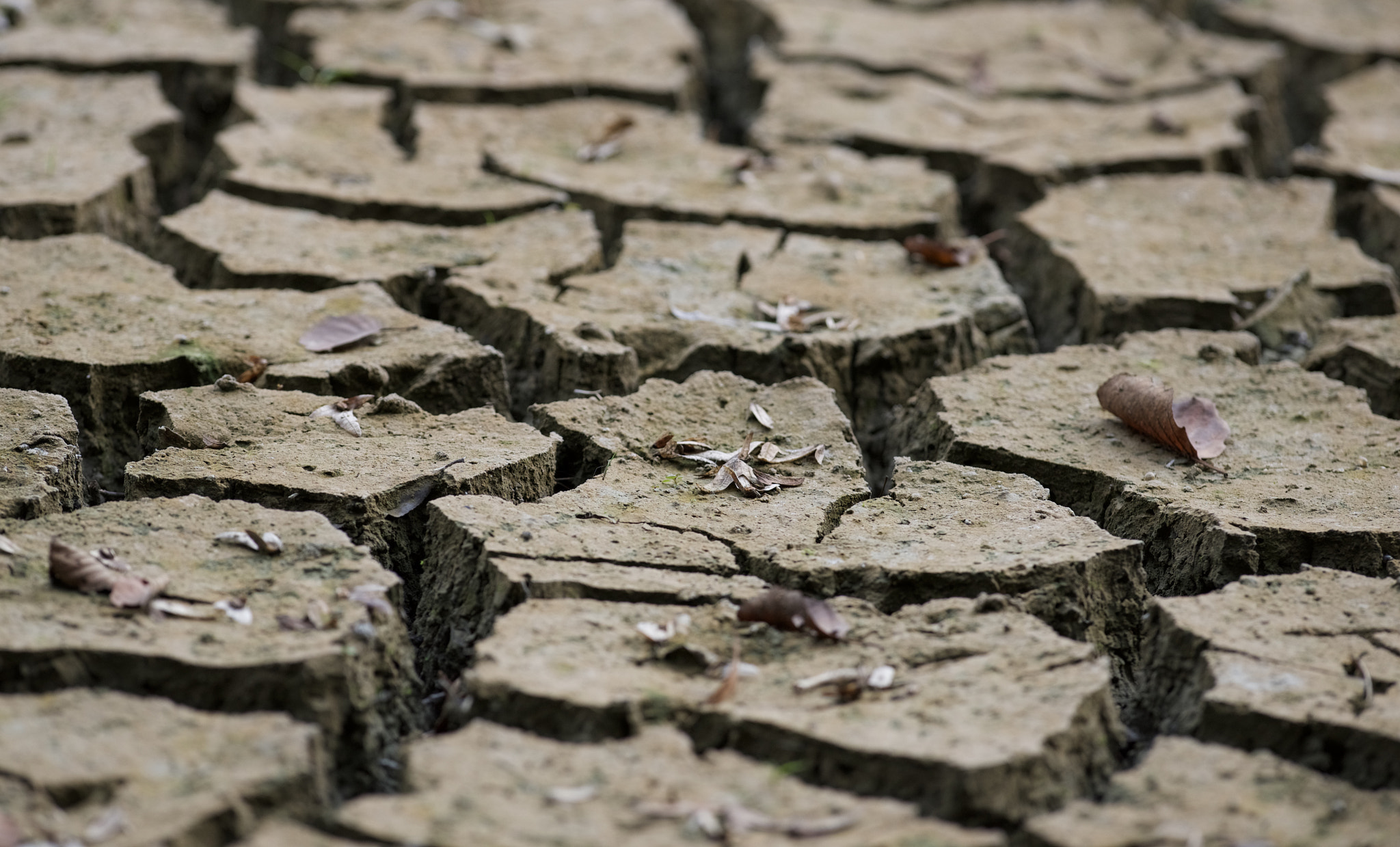 Nikon AF-S Nikkor 300mm F2.8G ED-IF VR sample photo. Drought photography