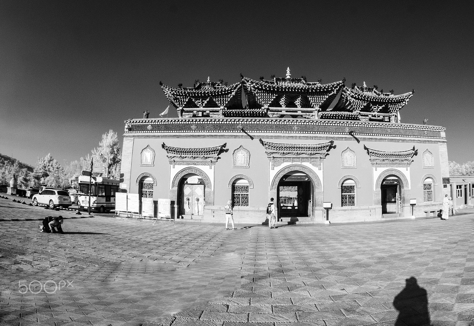 Tokina AT-X 12-28mm F4 Pro DX sample photo. Loyal worshiper photography