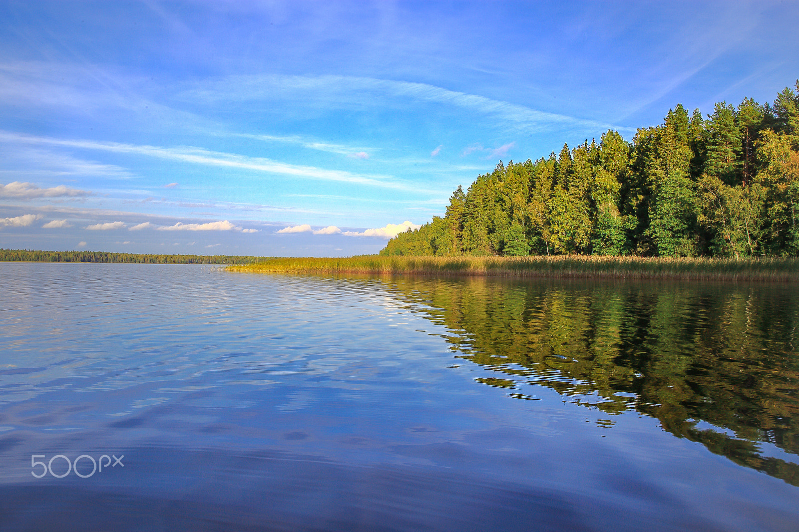 Canon EF 28-80mm f/2.8-4L sample photo. The wildlife is a part of paradise photography