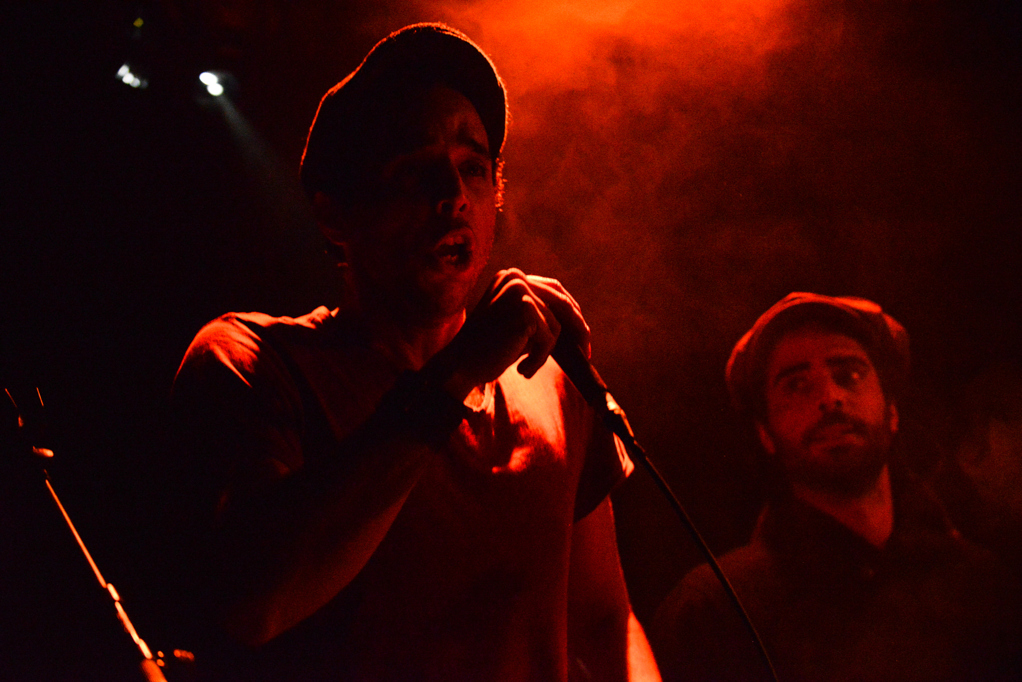 Nikon D600 sample photo. Dub music festival, grenoble, france photography