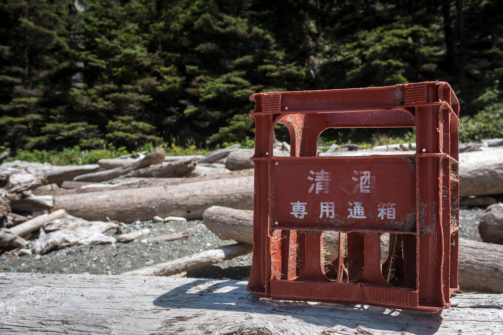 Nikon D810 + Nikon AF-S Nikkor 28mm F1.8G sample photo. Lost and found photography