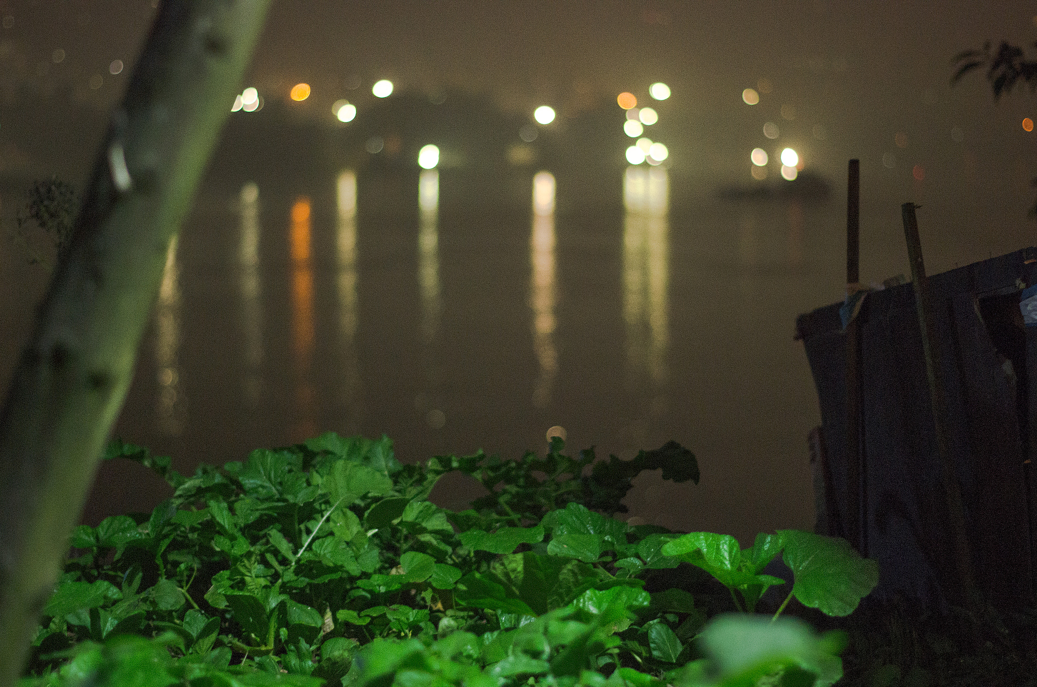 Pentax K-5 + Pentax smc DA 50mm F1.8 sample photo. 重庆的夜 photography