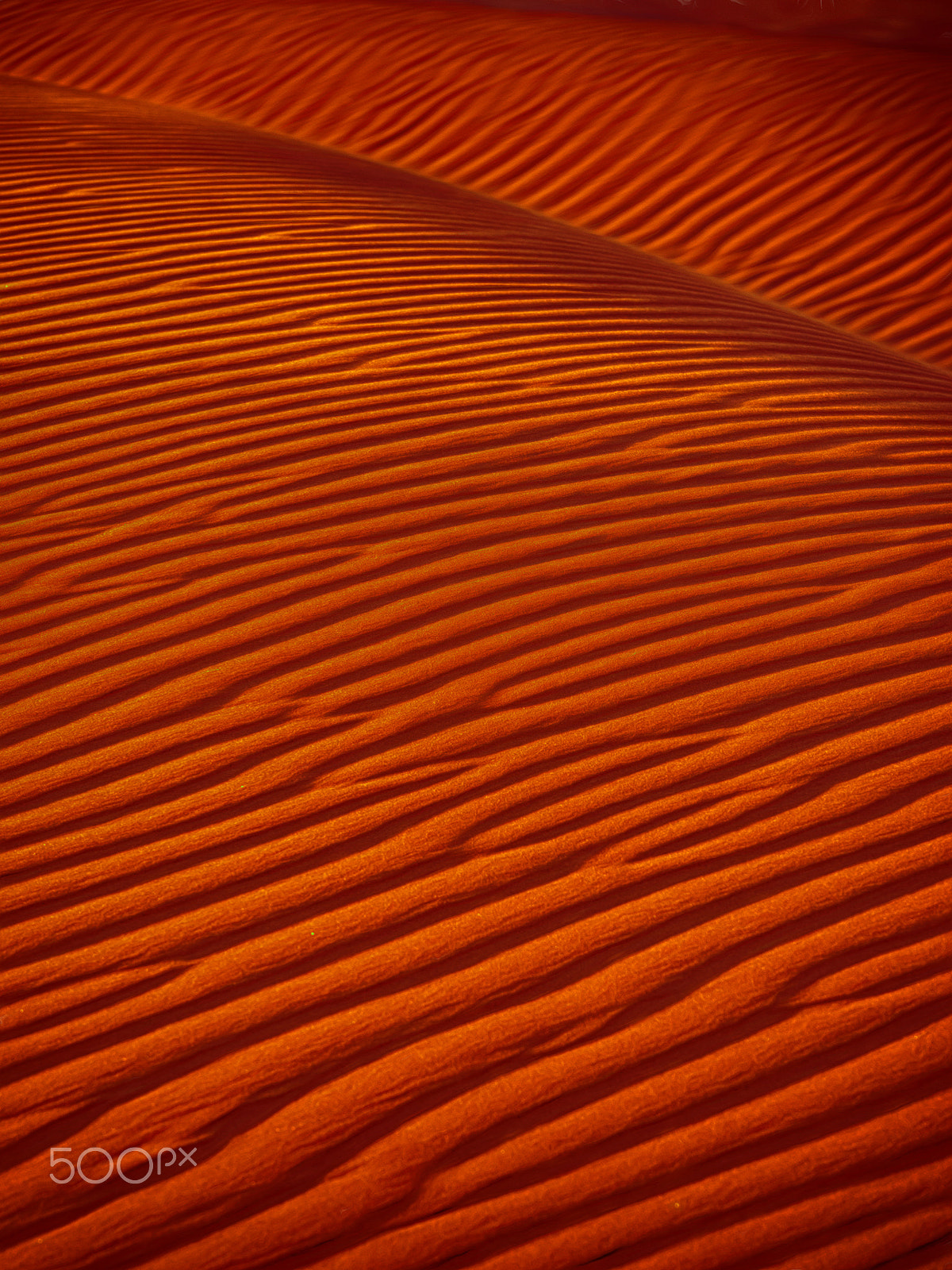 Panasonic Lumix G X Vario 35-100mm F2.8 OIS sample photo. Windswept photography