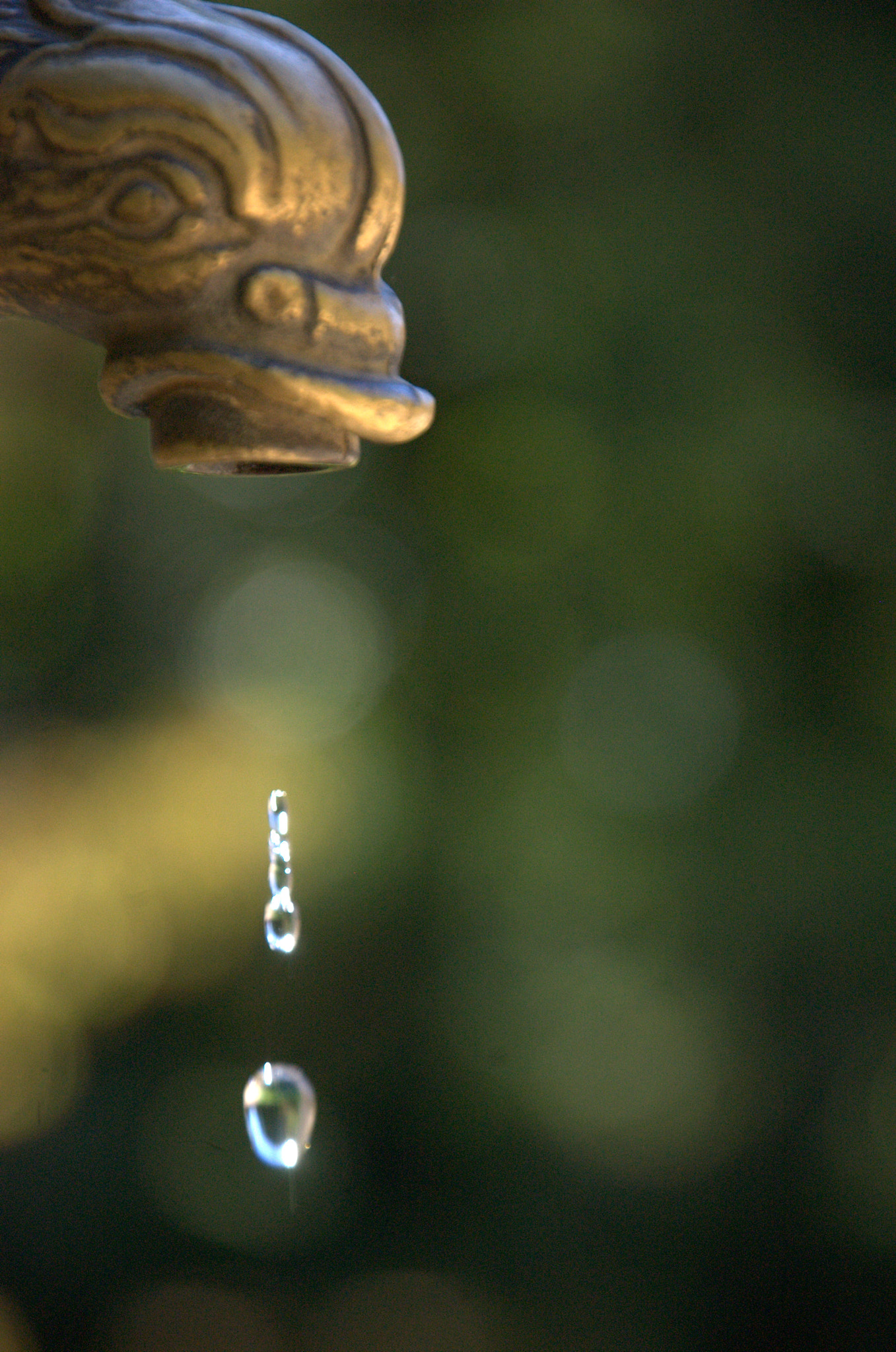 Nikon D40 sample photo. Photo soma () photography