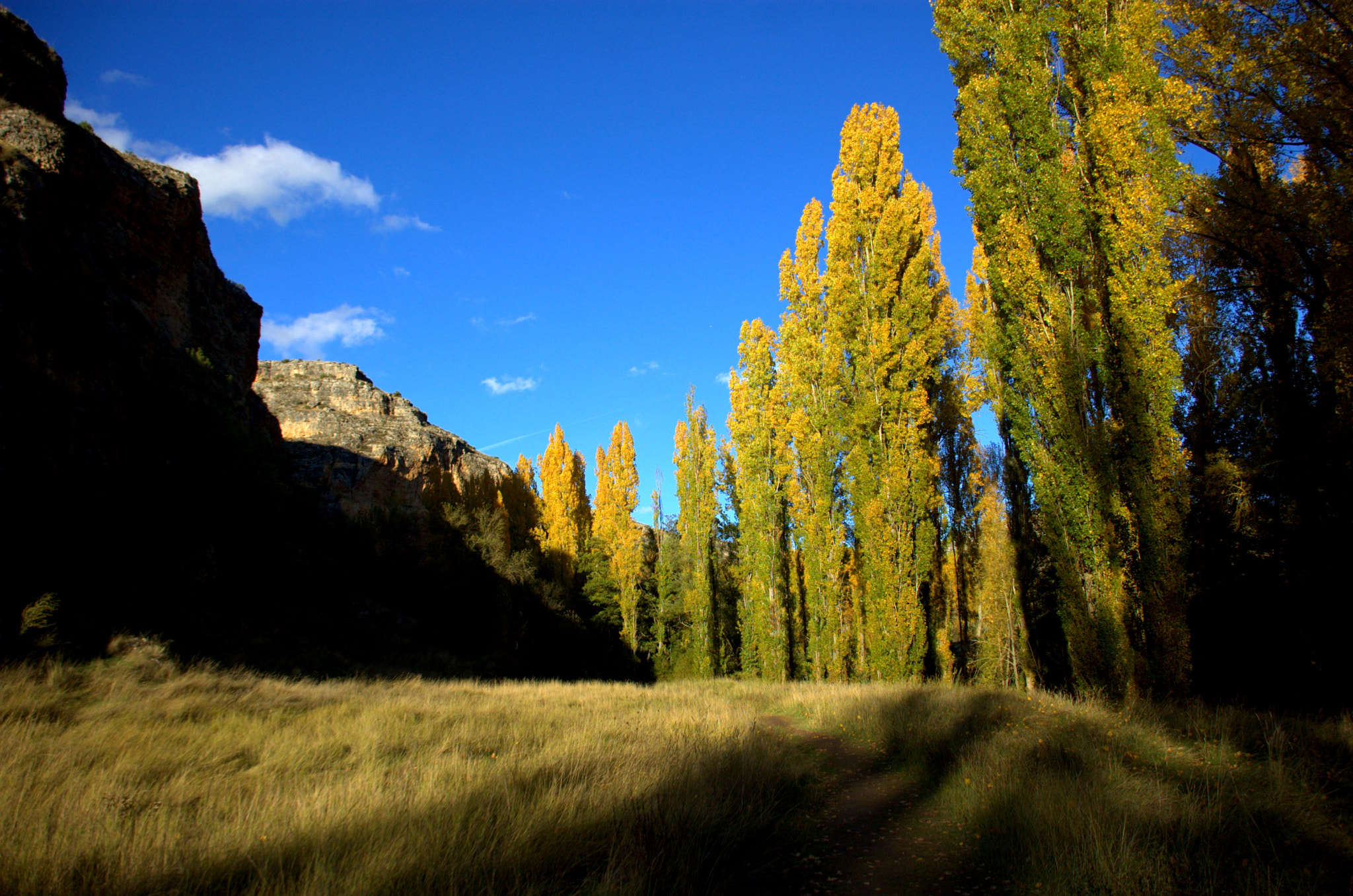 Nikon D40 sample photo. Photo soma () photography