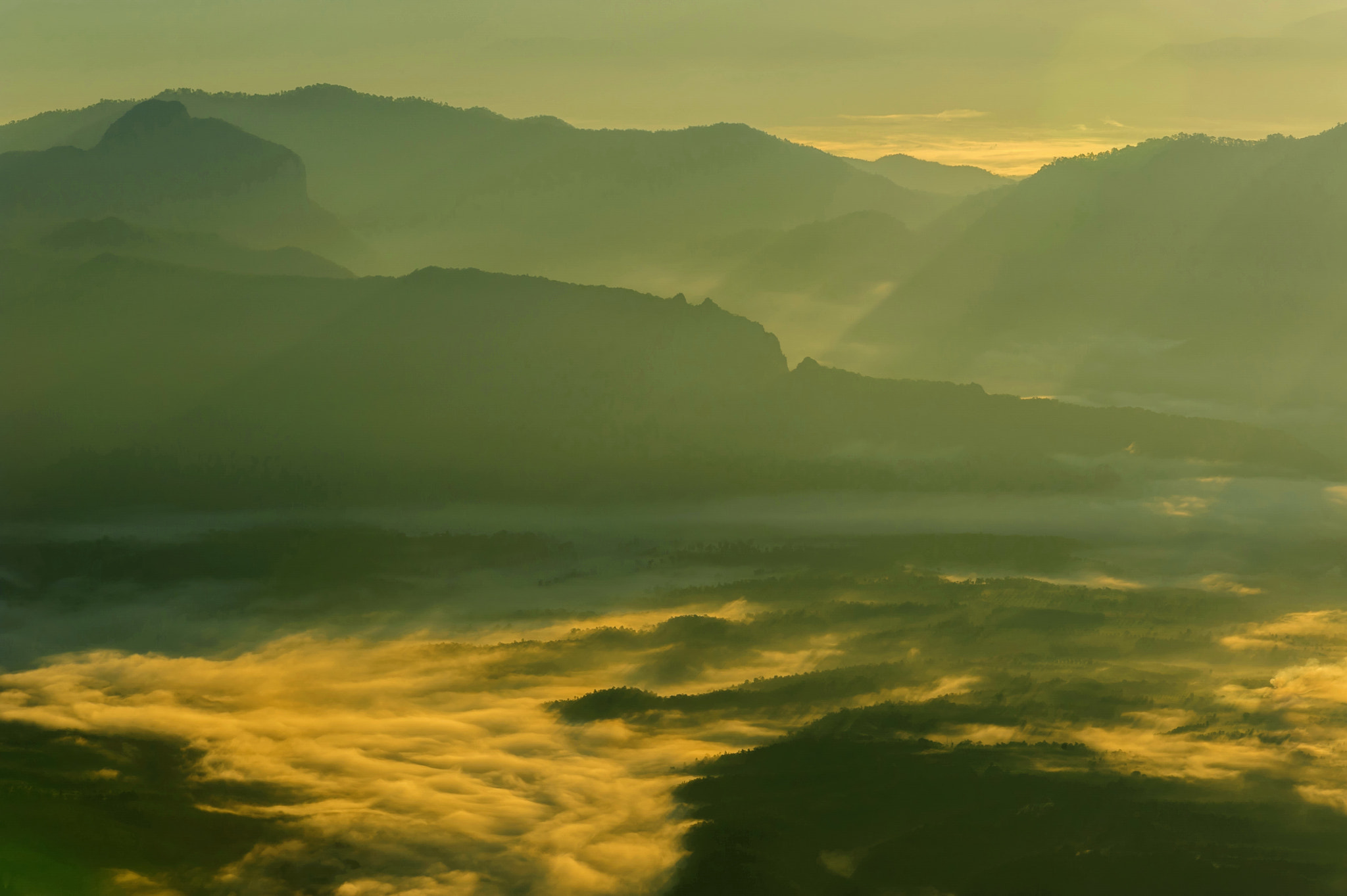 Nikon D700 + AF-S Zoom-Nikkor 80-200mm f/2.8D IF-ED sample photo. Light beautiful foggy sunrise photography