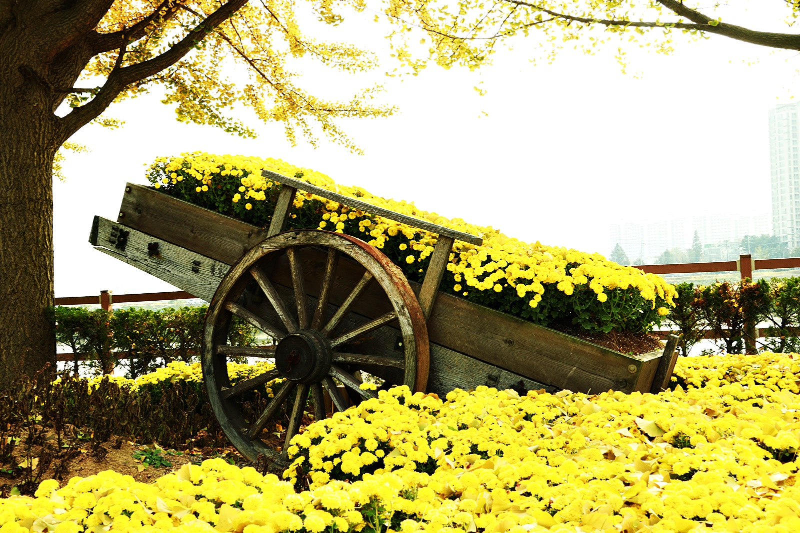 Canon EOS 750D (EOS Rebel T6i / EOS Kiss X8i) sample photo. Mg photography