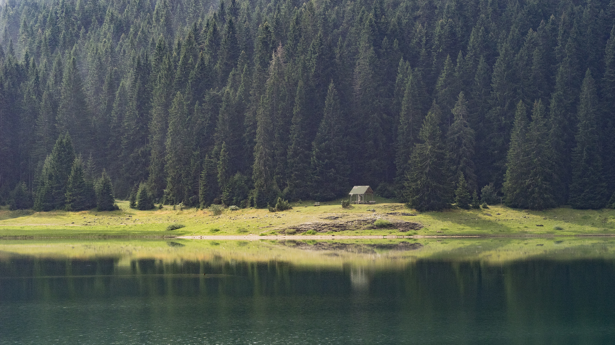 Olympus OM-D E-M1 sample photo. Misty morning on black lake photography