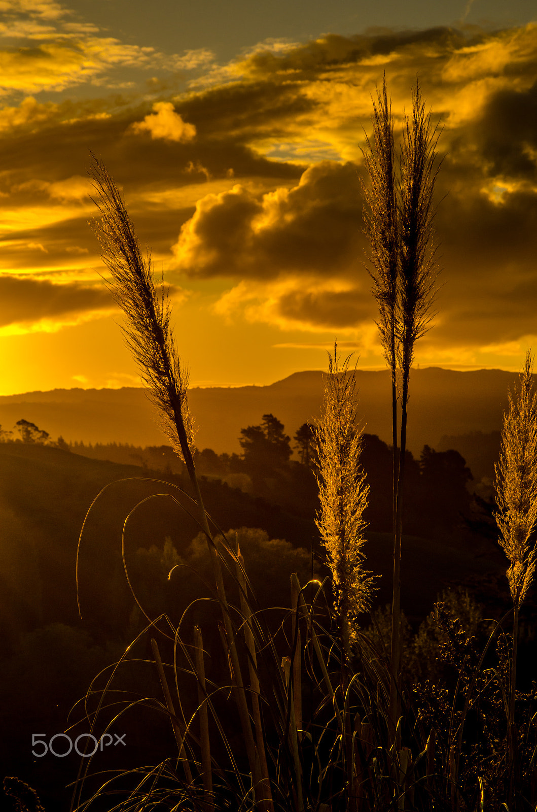 Nikon D7000 sample photo. Into the distance photography