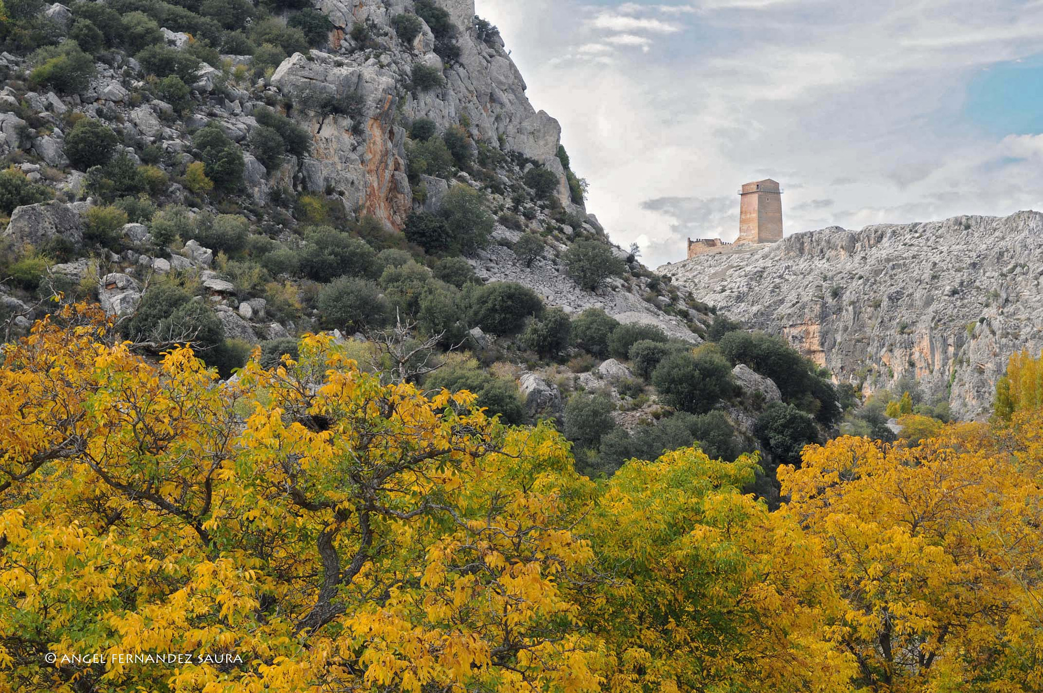 Nikon D300 sample photo. Autumn in nerpio photography