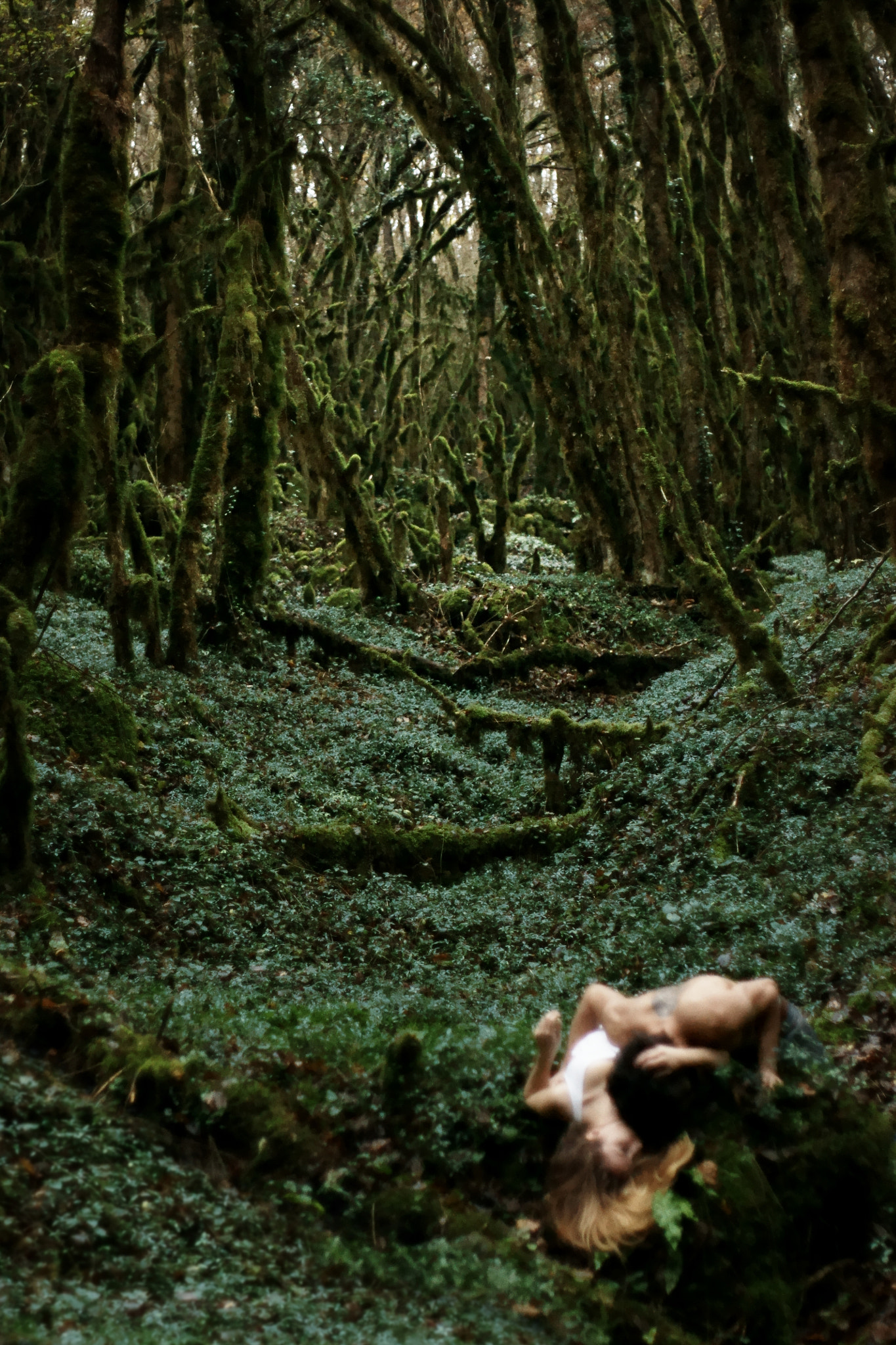 Sony Alpha DSLR-A700 + Sony 50mm F1.4 sample photo. Lost in another world photography