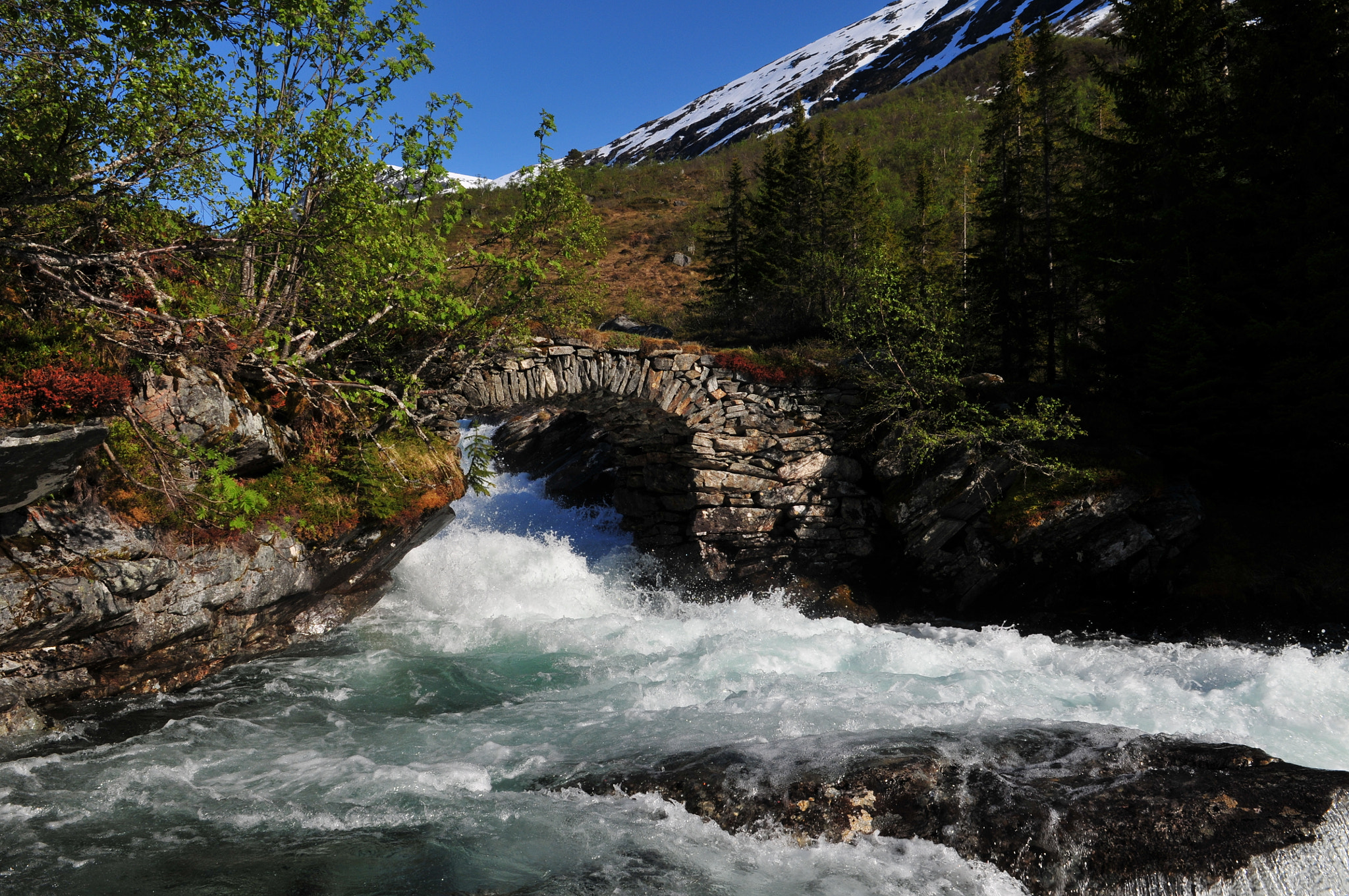 Nikon D300 sample photo. The old bridge photography