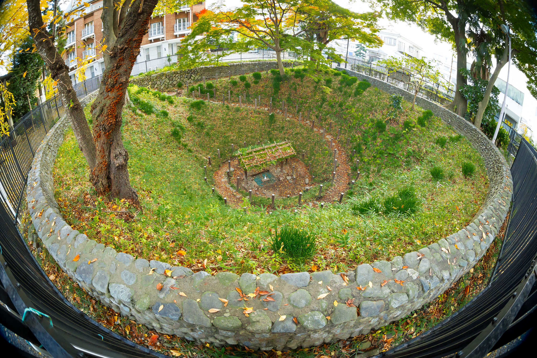 Canon EF 8-15mm F4L Fisheye USM sample photo. Snail well photography