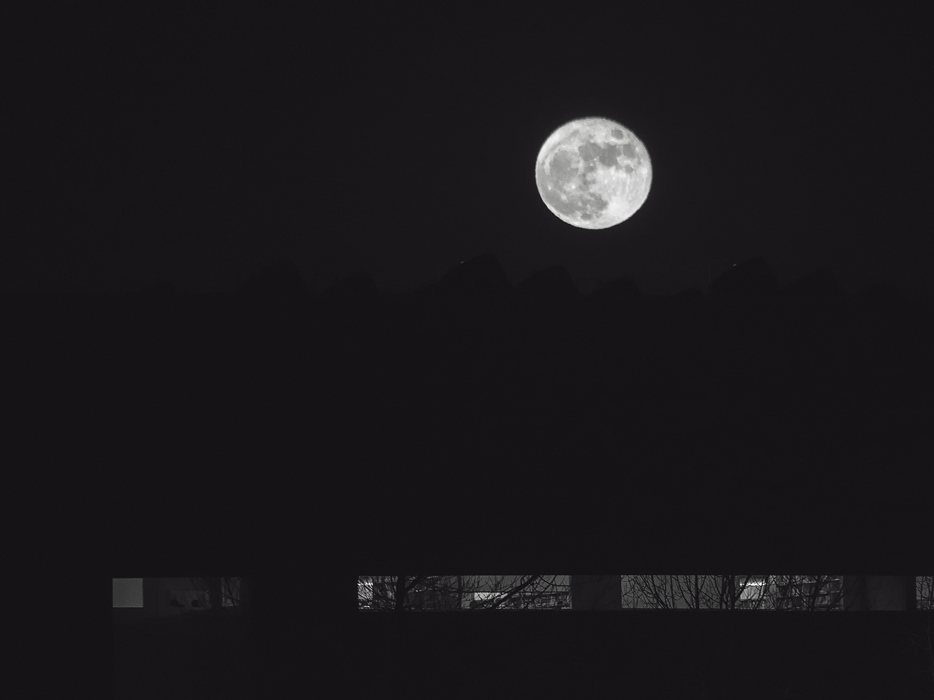 Panasonic Lumix DMC-GX8 sample photo. Full moon_november 2015 photography