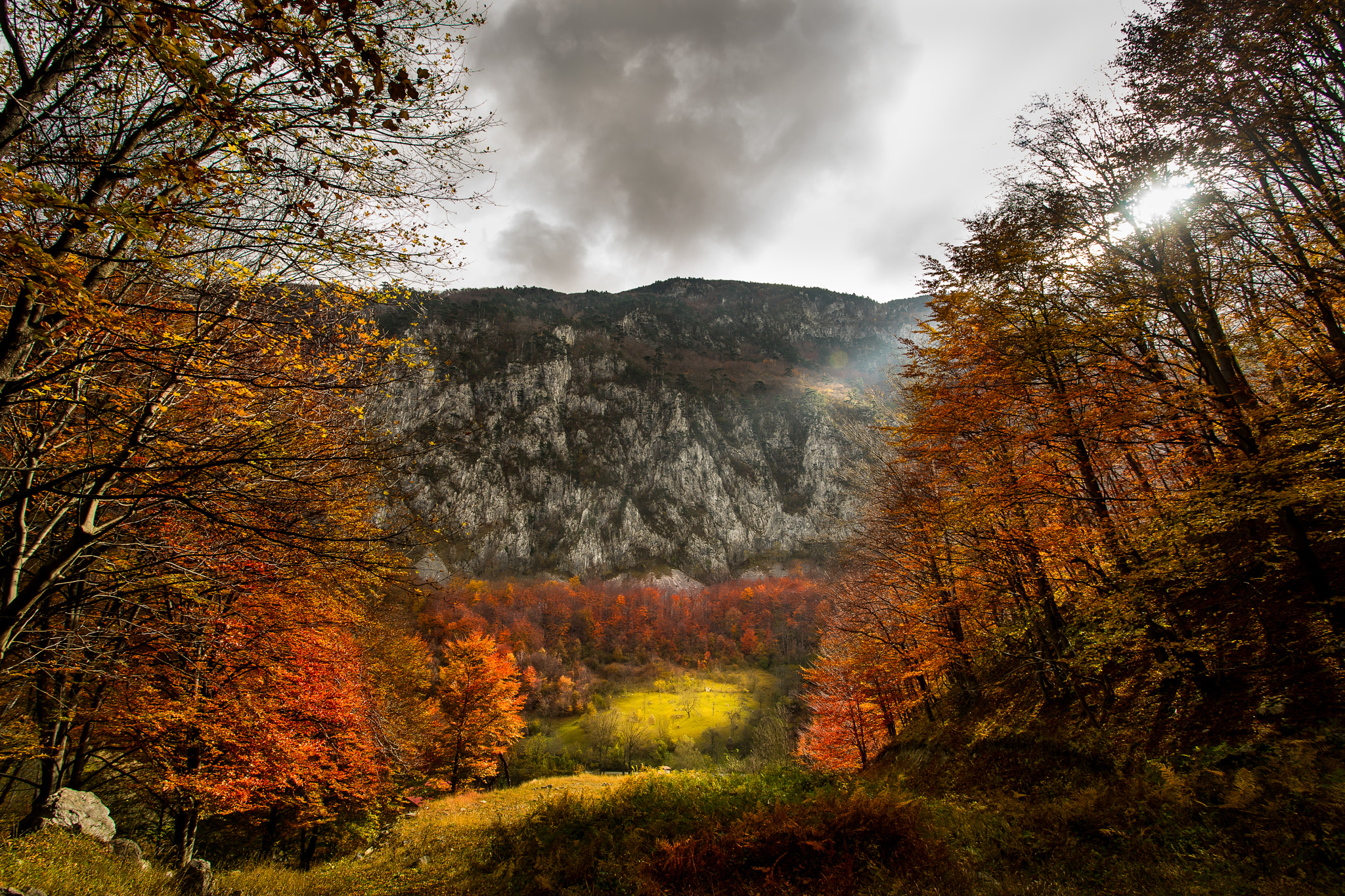 Sony a7 + Canon EF 17-40mm F4L USM sample photo. Autumn rays  photography