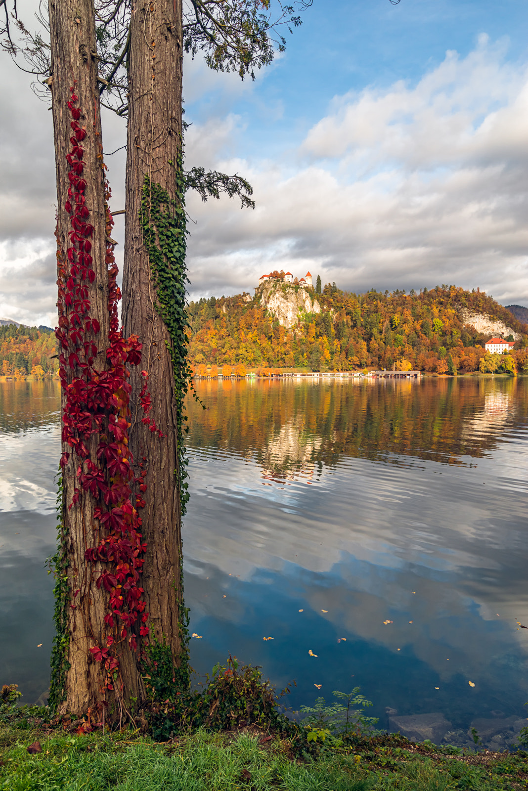 Sony a7R + Sony FE 24-70mm F2.8 GM sample photo. Colour of bled photography
