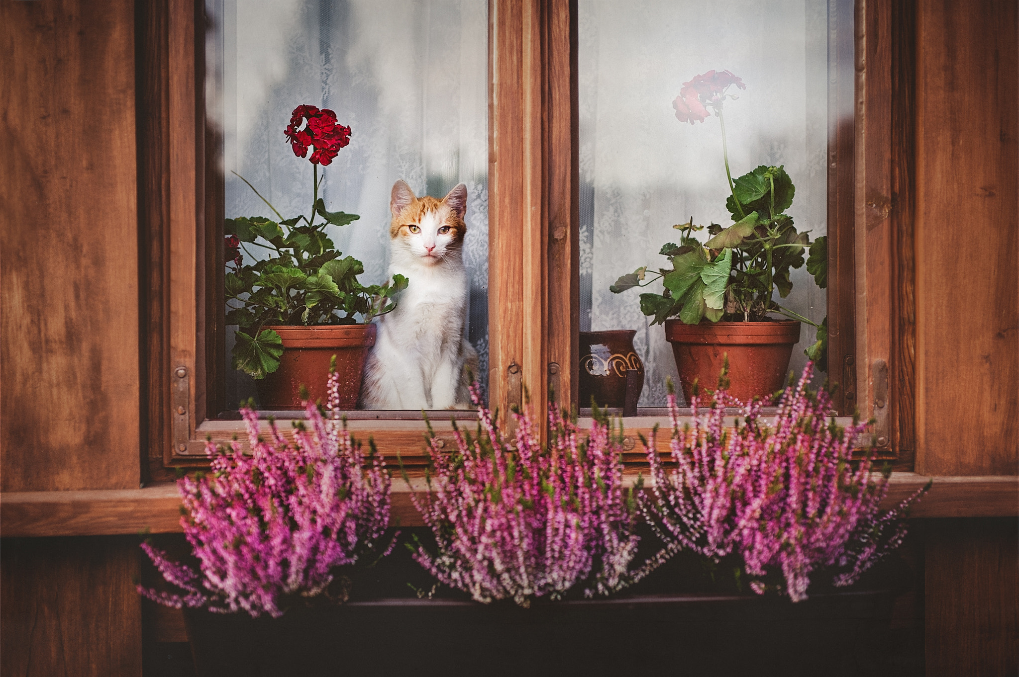 Nikon D700 + Sigma 50mm F1.4 DG HSM Art sample photo. Edit photography