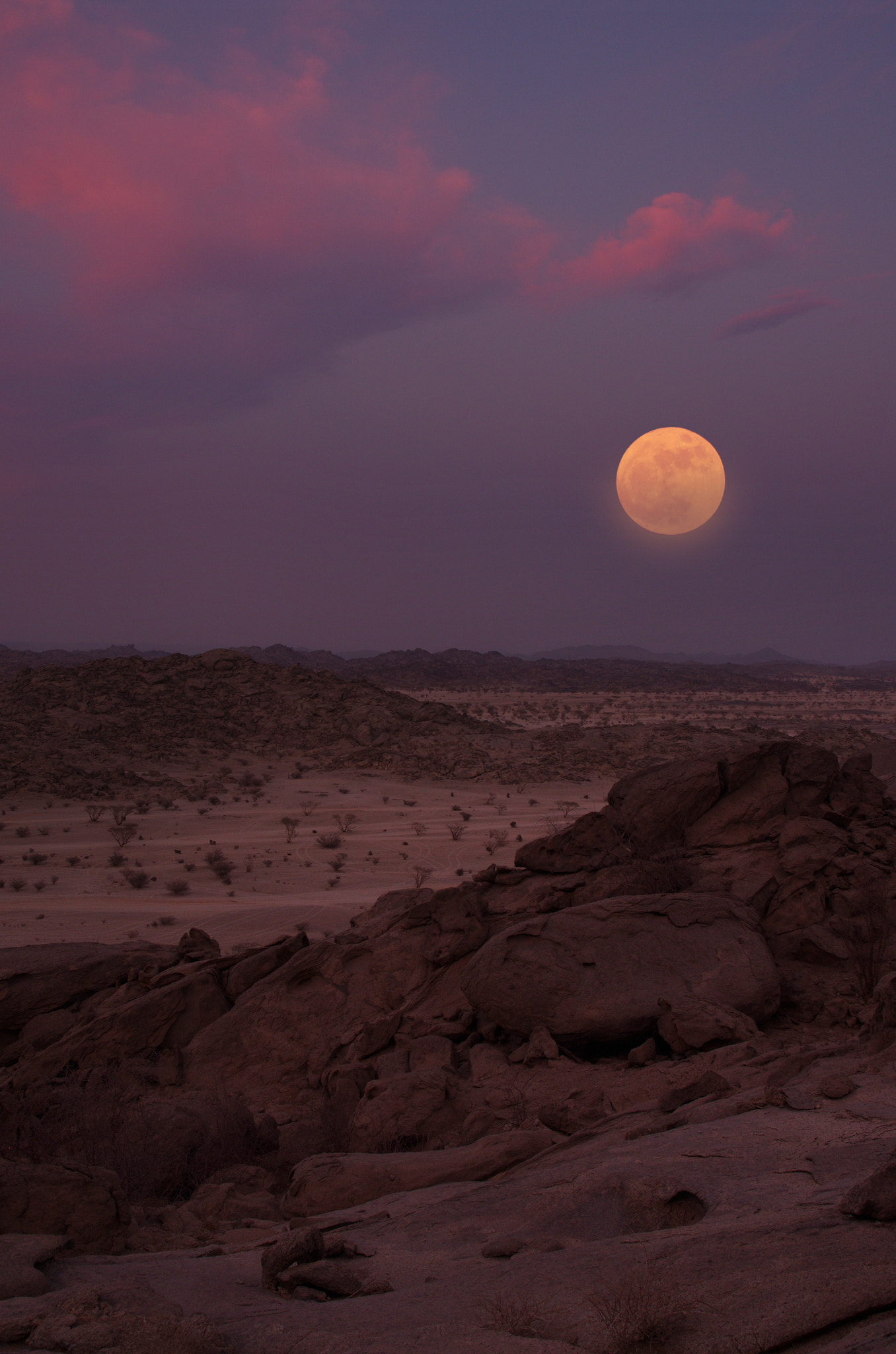 Sigma AF 10-20mm F4-5.6 EX DC sample photo. Super full moon photography
