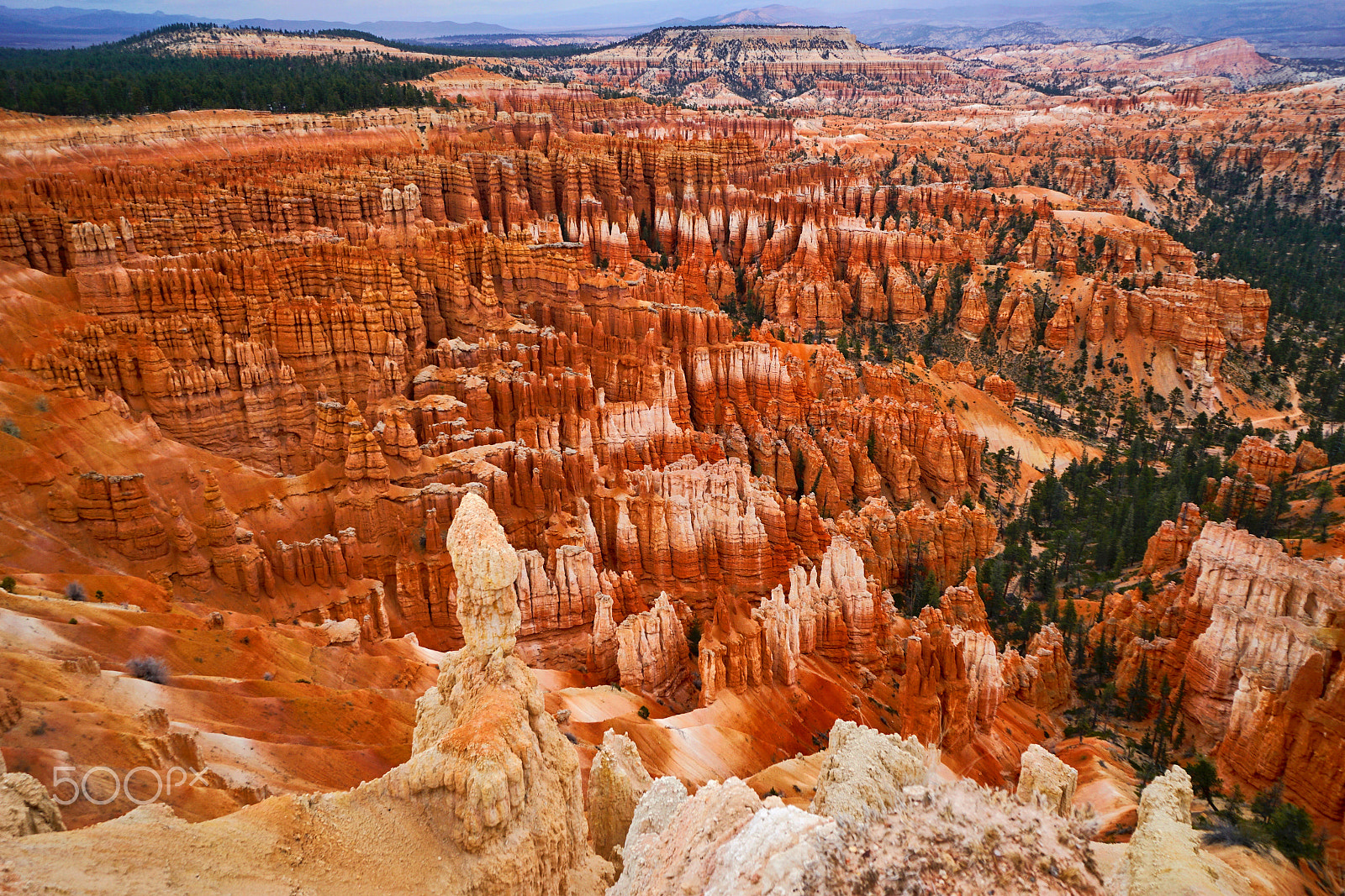 Sony a7R II + Sony E 10-18mm F4 OSS sample photo. Bryce canyon_west of usa photography