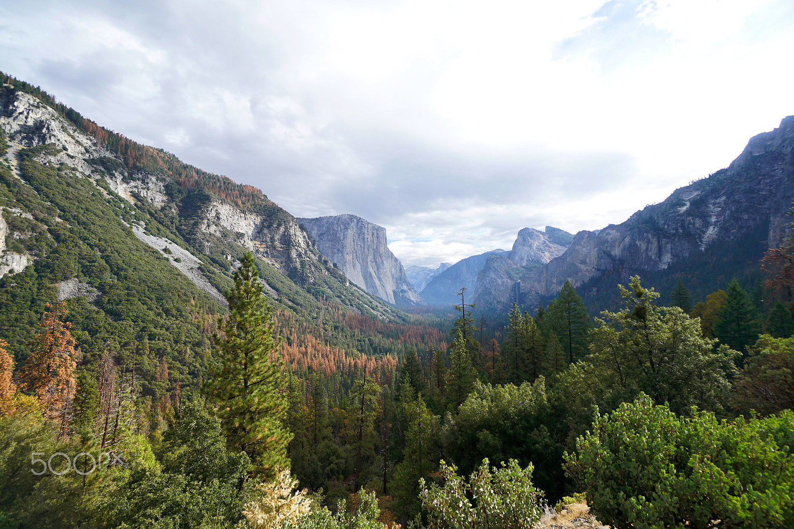 Sony E 10-18mm F4 OSS sample photo. Yosemite national park_west of usa photography