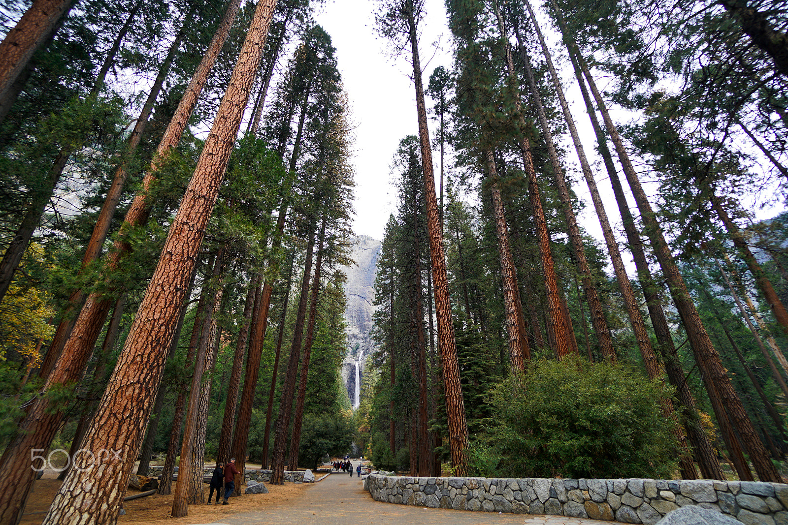 Sony E 10-18mm F4 OSS sample photo. Yosemite falls_yosemite photography